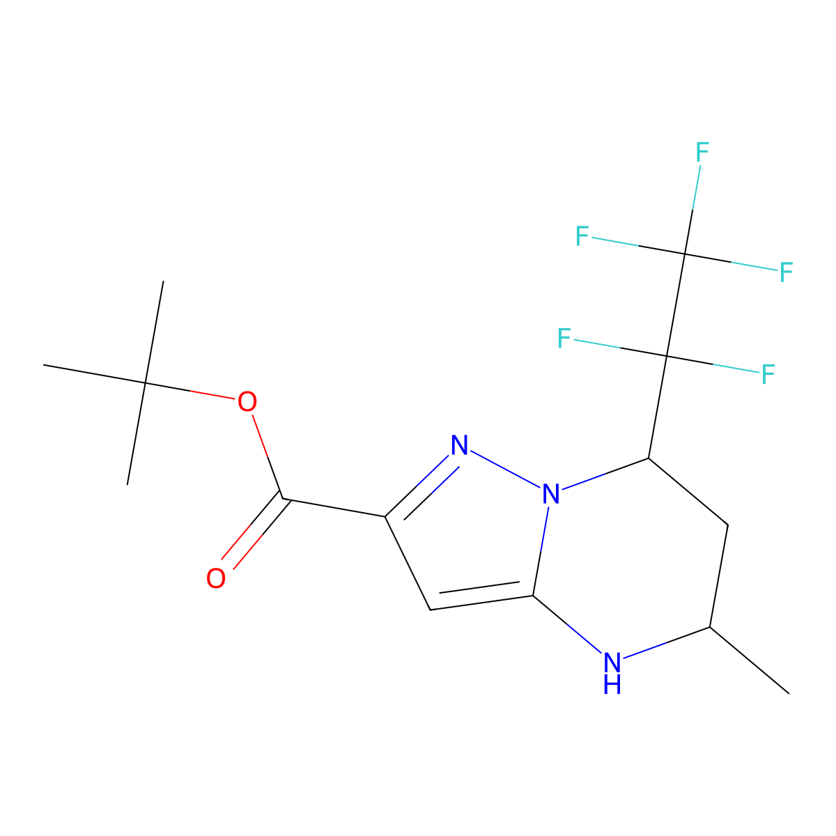 rac-tert-butyl (5R,7R)-5-methyl-7-(1,1,2,2,2-pentafluoroethyl)-4H,5H,6H,7H-pyrazolo[1,5-a]pyrimidine-2-carboxylate molecular structure, CAS 2639375-37-2