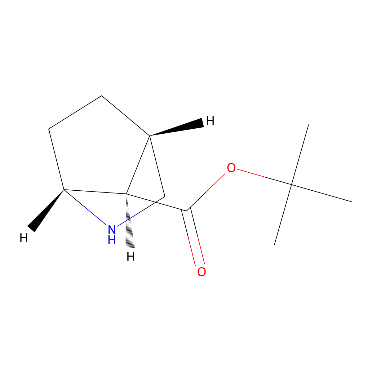 rac-tert-butyl (1R,4S,7R)-2-azabicyclo[2.2.1]heptane-7-carboxylate molecular structure, CAS 2639379-63-6