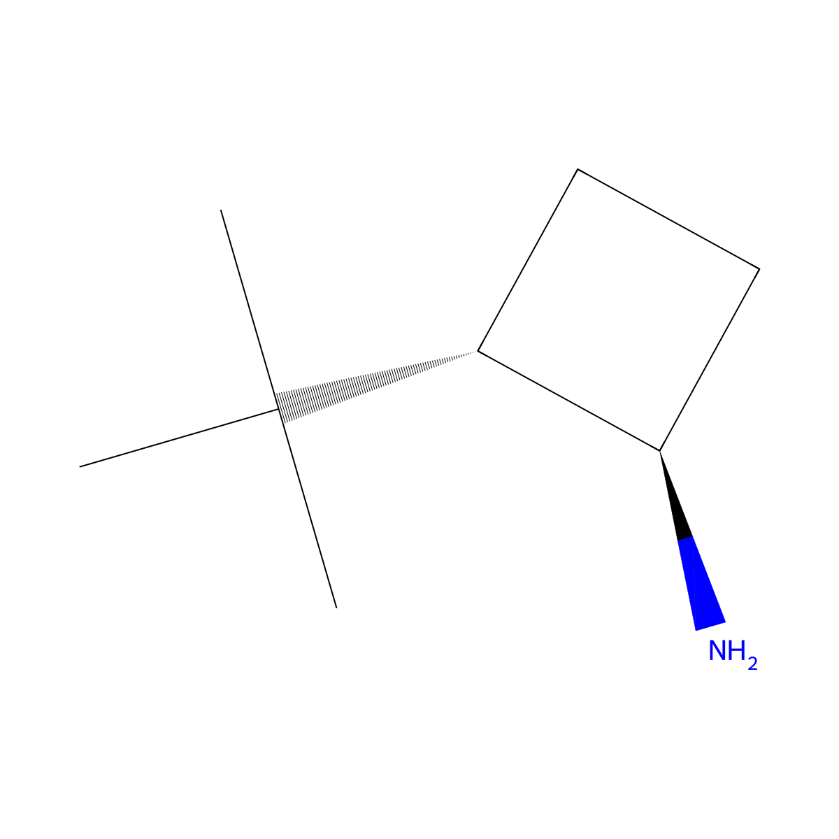 rac-(1R,2S)-2-tert-butylcyclobutan-1-amine molecular structure, CAS 2639388-71-7