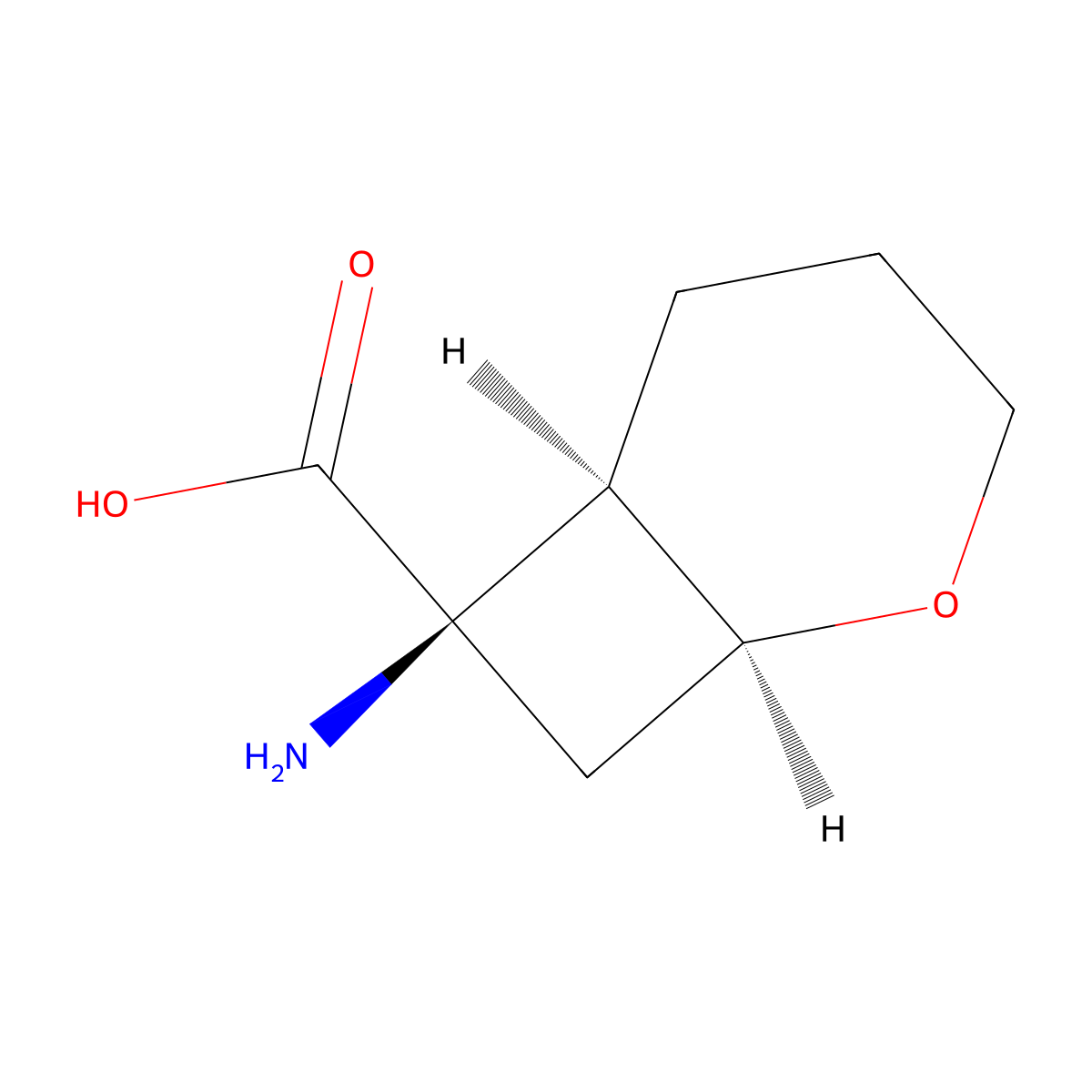 rac-(1R,6S,7S)-7-amino-2-oxabicyclo[4.2.0]octane-7-carboxylic acid molecular structure, CAS 2639388-84-2