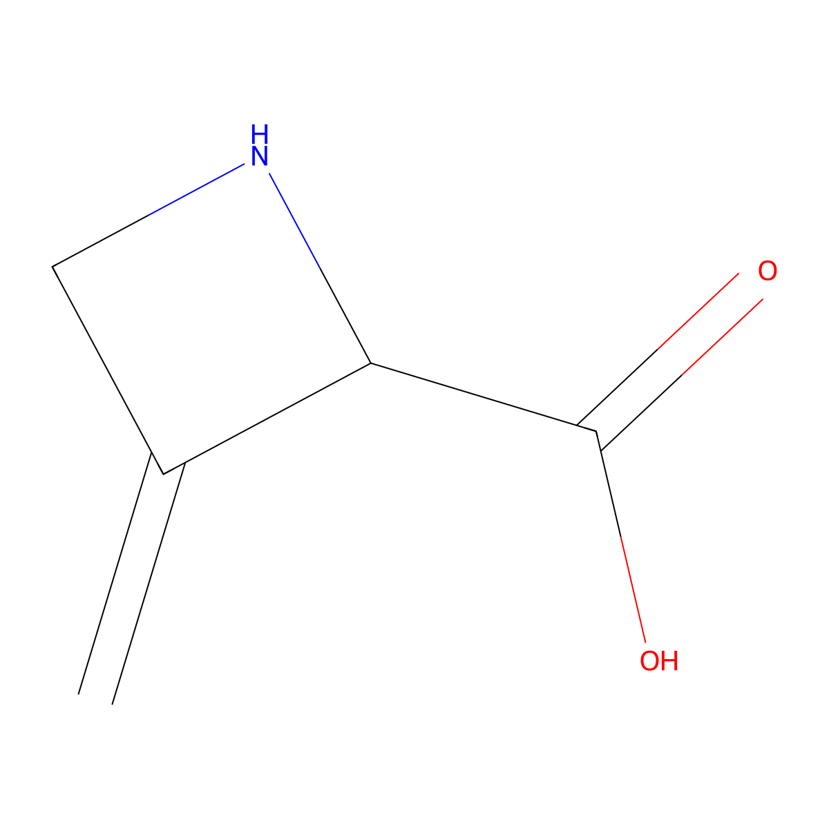 3-Methylideneazetidine-2-carboxylic acid molecular structure, CAS 2639405-03-9
