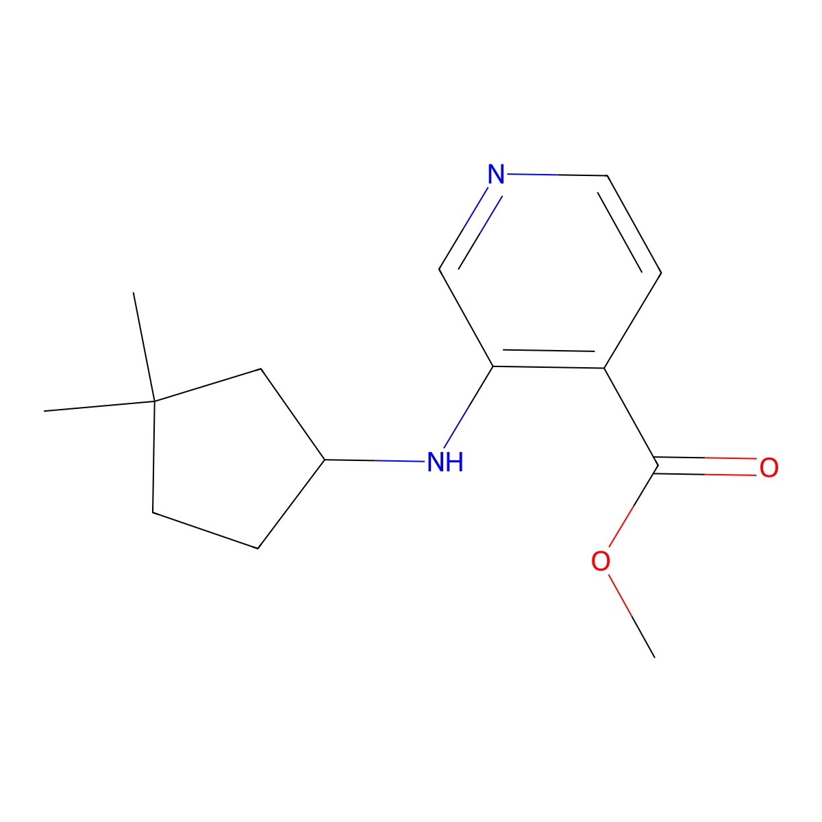 Methyl 3-[(3,3-dimethylcyclopentyl)amino]pyridine-4-carboxylate molecular structure, CAS 2639411-09-7