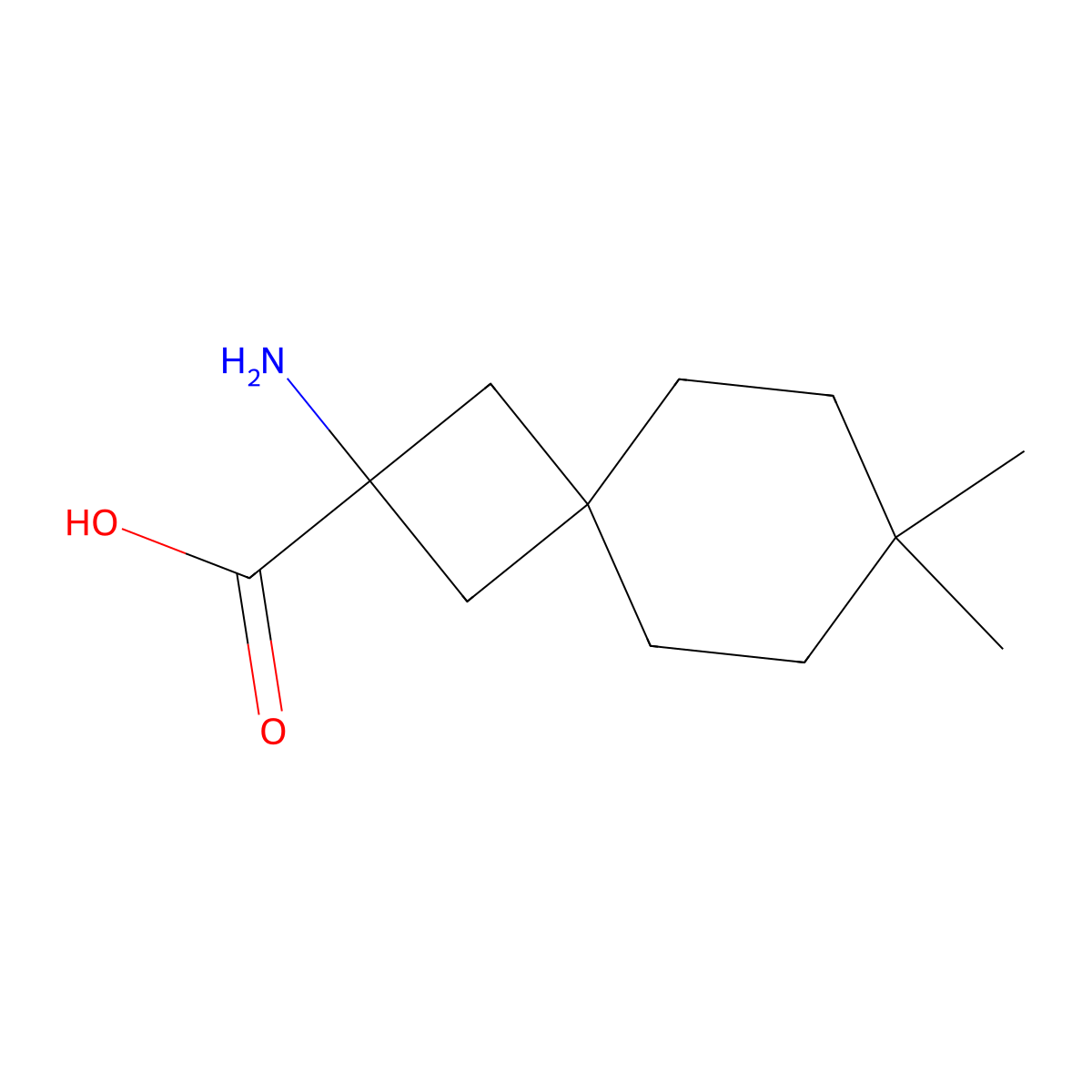 2-Amino-7,7-dimethylspiro[3.5]nonane-2-carboxylic acid molecular structure, CAS 2639423-75-7