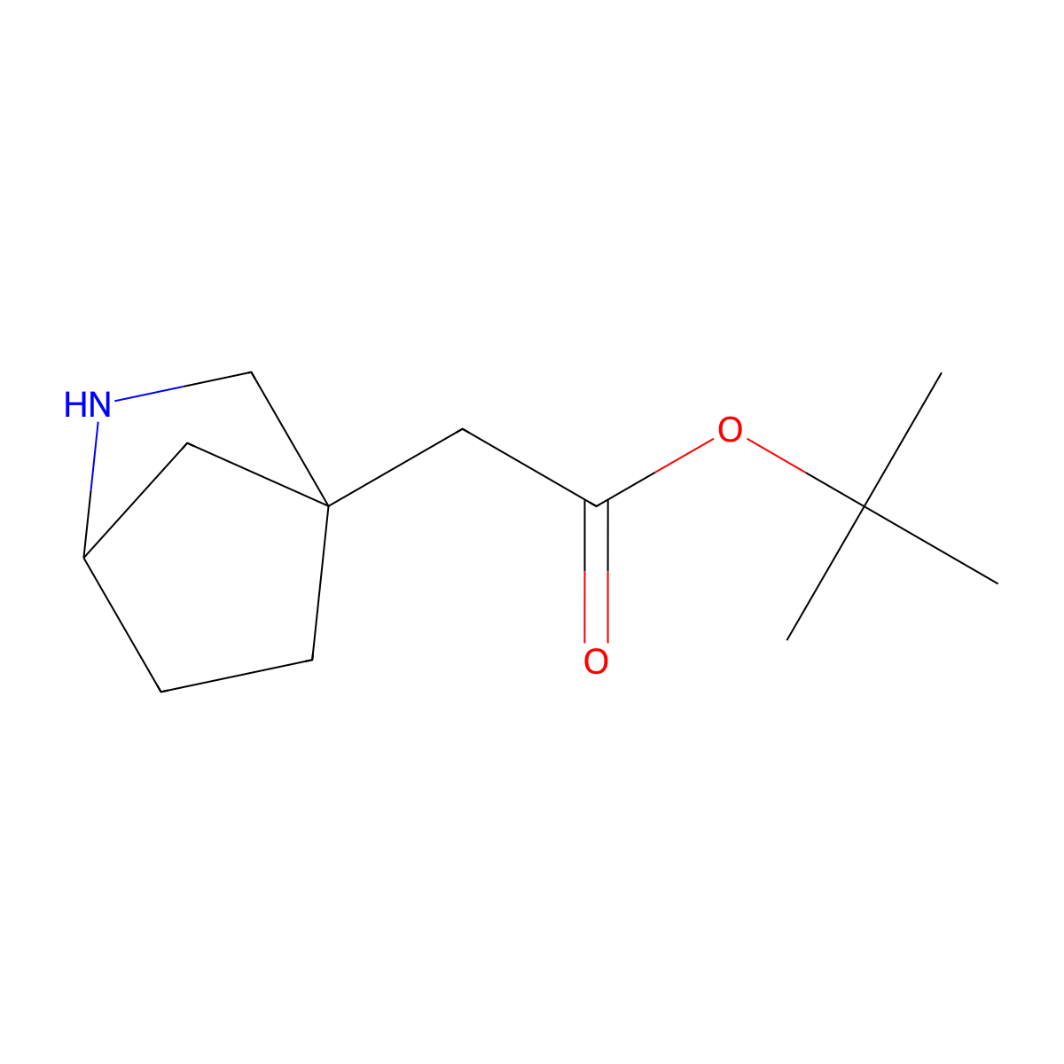 Tert-butyl 2-{2-azabicyclo[2.2.1]heptan-4-yl}acetate molecular structure, CAS 2639443-26-6