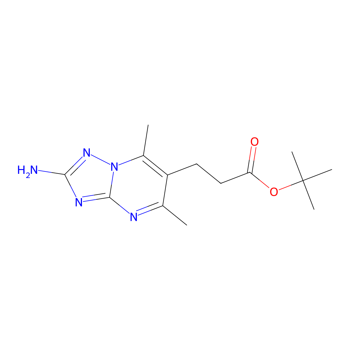 Tert-butyl 3-{2-amino-5,7-dimethyl-[1,2,4]triazolo[1,5-a]pyrimidin-6-yl}propanoate molecular structure, CAS 2639448-41-0