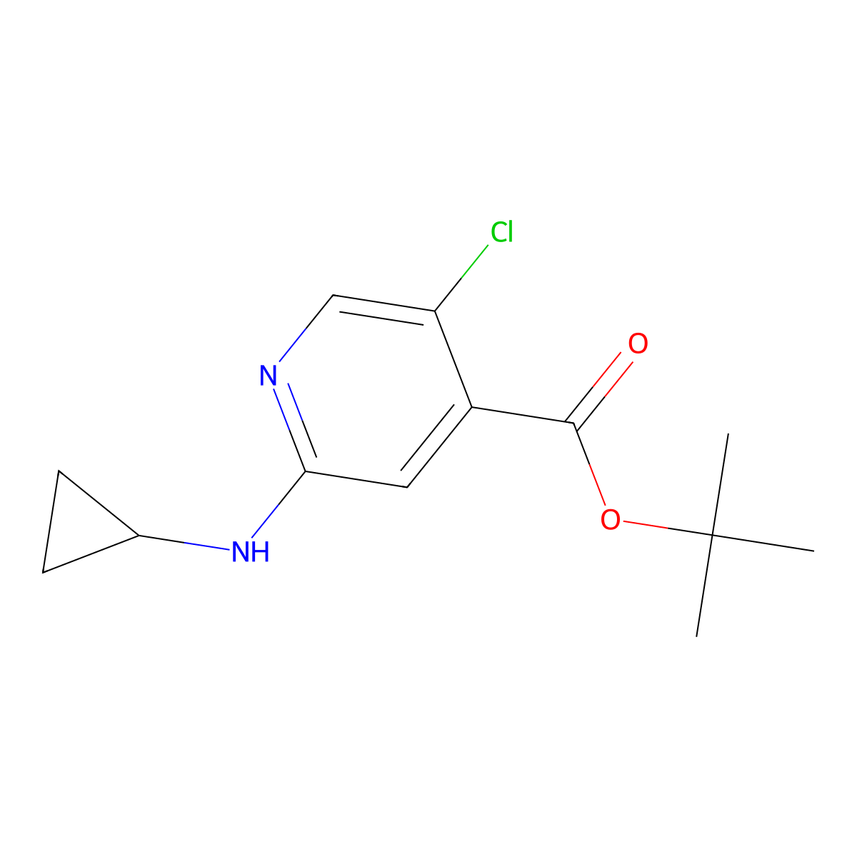 Tert-butyl 5-chloro-2-(cyclopropylamino)pyridine-4-carboxylate molecular structure, CAS 2639456-76-9