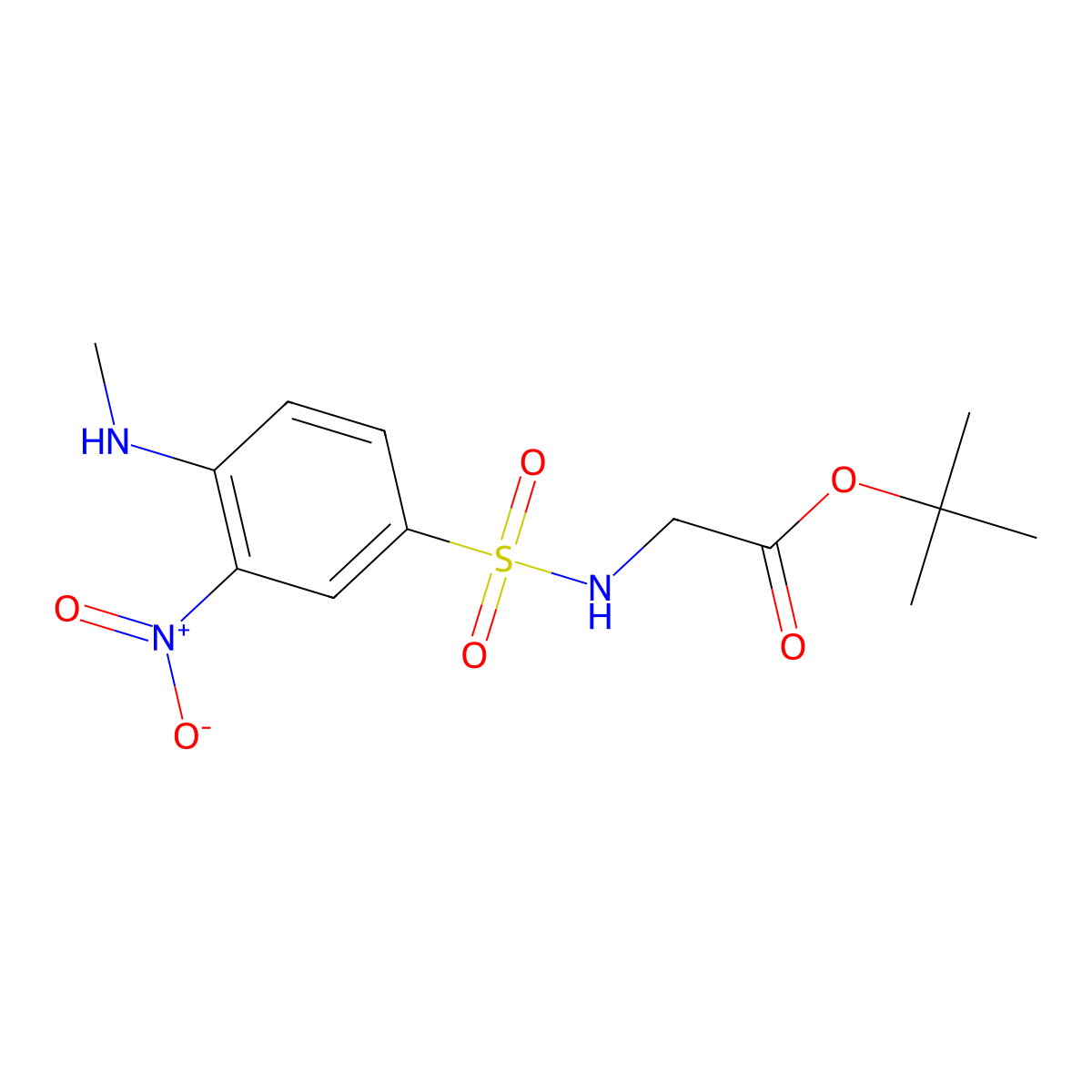 Tert-butyl 2-[4-(methylamino)-3-nitrobenzenesulfonamido]acetate molecular structure, CAS 2639460-32-3