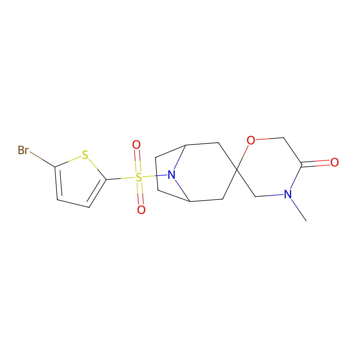 8-[(5-Bromothiophen-2-yl)sulfonyl]-4'-methyl-8-azaspiro[bicyclo[3.2.1]octane-3,2'-morpholin]-5'-one molecular structure, CAS 2640814-14-6