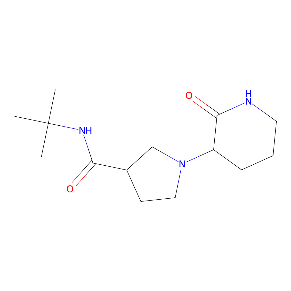 N-tert-butyl-1-(2-oxopiperidin-3-yl)pyrrolidine-3-carboxamide molecular structure, CAS 2640814-35-1