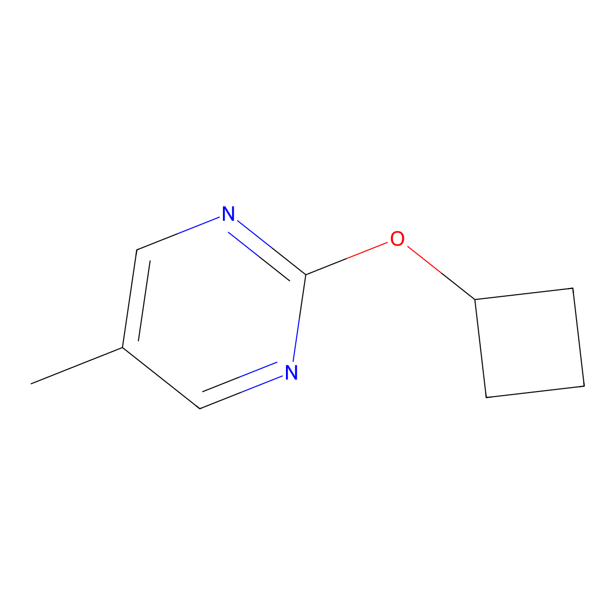2-Cyclobutoxy-5-methylpyrimidine molecular structure, CAS 2640815-90-1