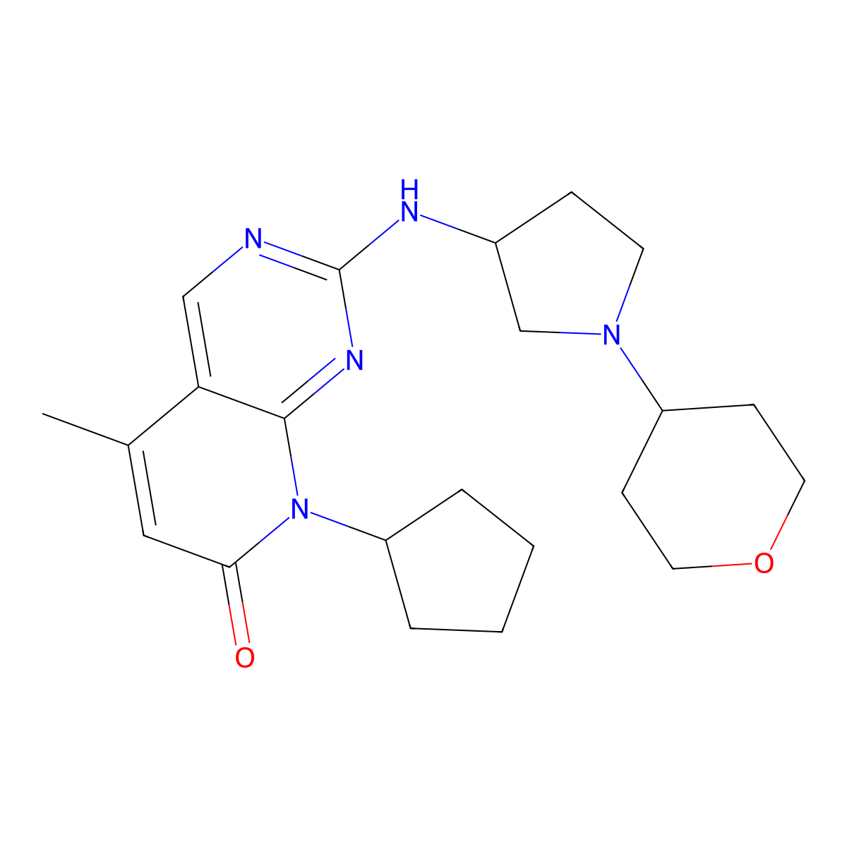 8-cyclopentyl-5-methyl-2-{[1-(oxan-4-yl)pyrrolidin-3-yl]amino}-7H,8H-pyrido[2,3-d]pyrimidin-7-one molecular structure, CAS 2640818-61-5