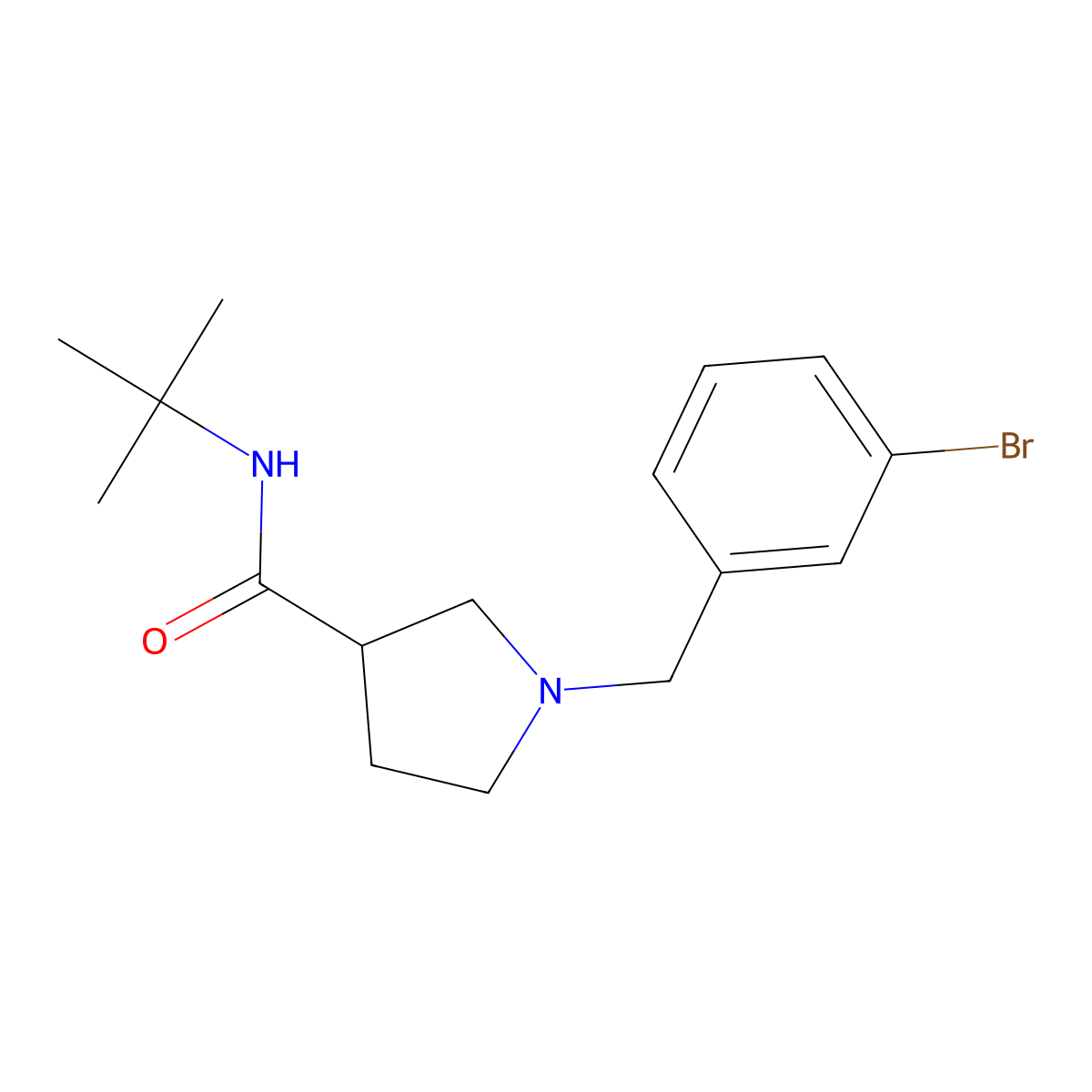 1-[(3-bromophenyl)methyl]-N-tert-butylpyrrolidine-3-carboxamide molecular structure, CAS 2640822-64-4