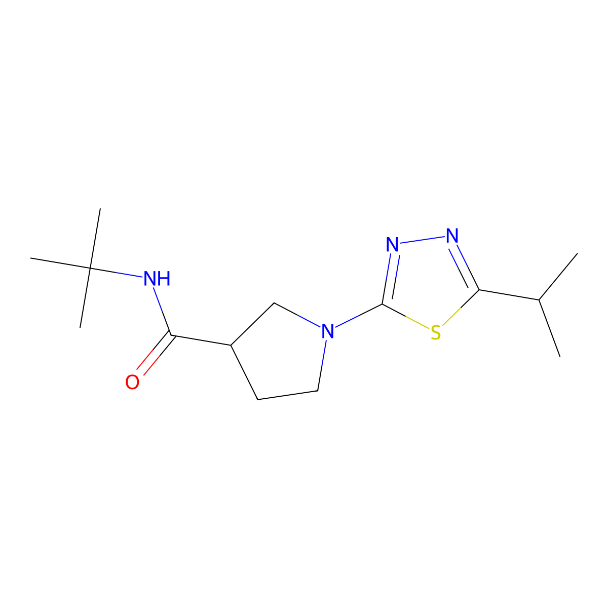 N-tert-butyl-1-[5-(propan-2-yl)-1,3,4-thiadiazol-2-yl]pyrrolidine-3-carboxamide molecular structure, CAS 2640834-88-2