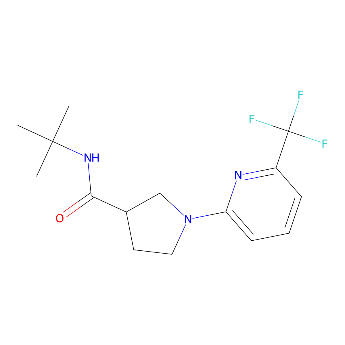 N-tert-butyl-1-[6-(trifluoromethyl)pyridin-2-yl]pyrrolidine-3-carboxamide molecular structure, CAS 2640842-85-7
