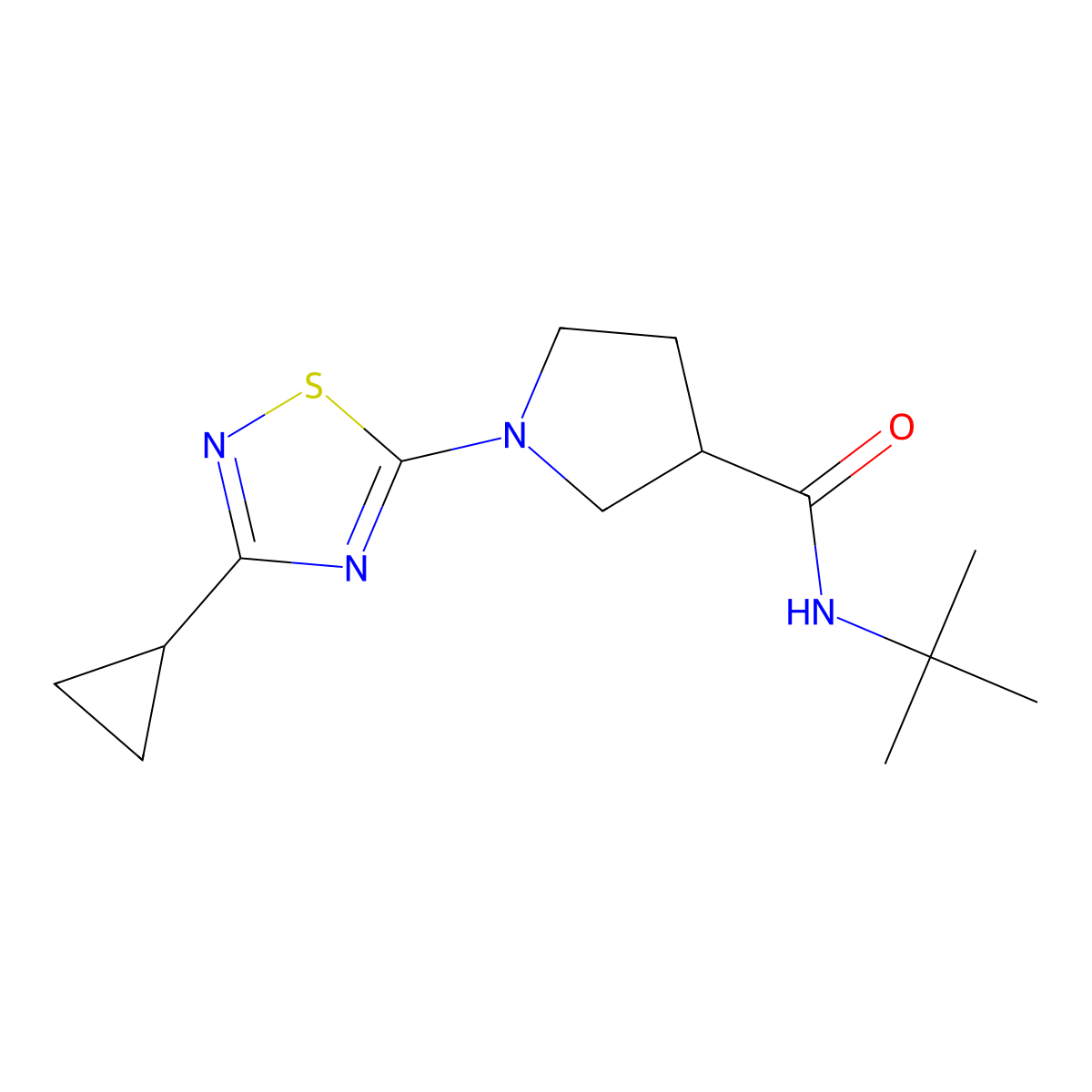 N-tert-butyl-1-(3-cyclopropyl-1,2,4-thiadiazol-5-yl)pyrrolidine-3-carboxamide molecular structure, CAS 2640843-39-4