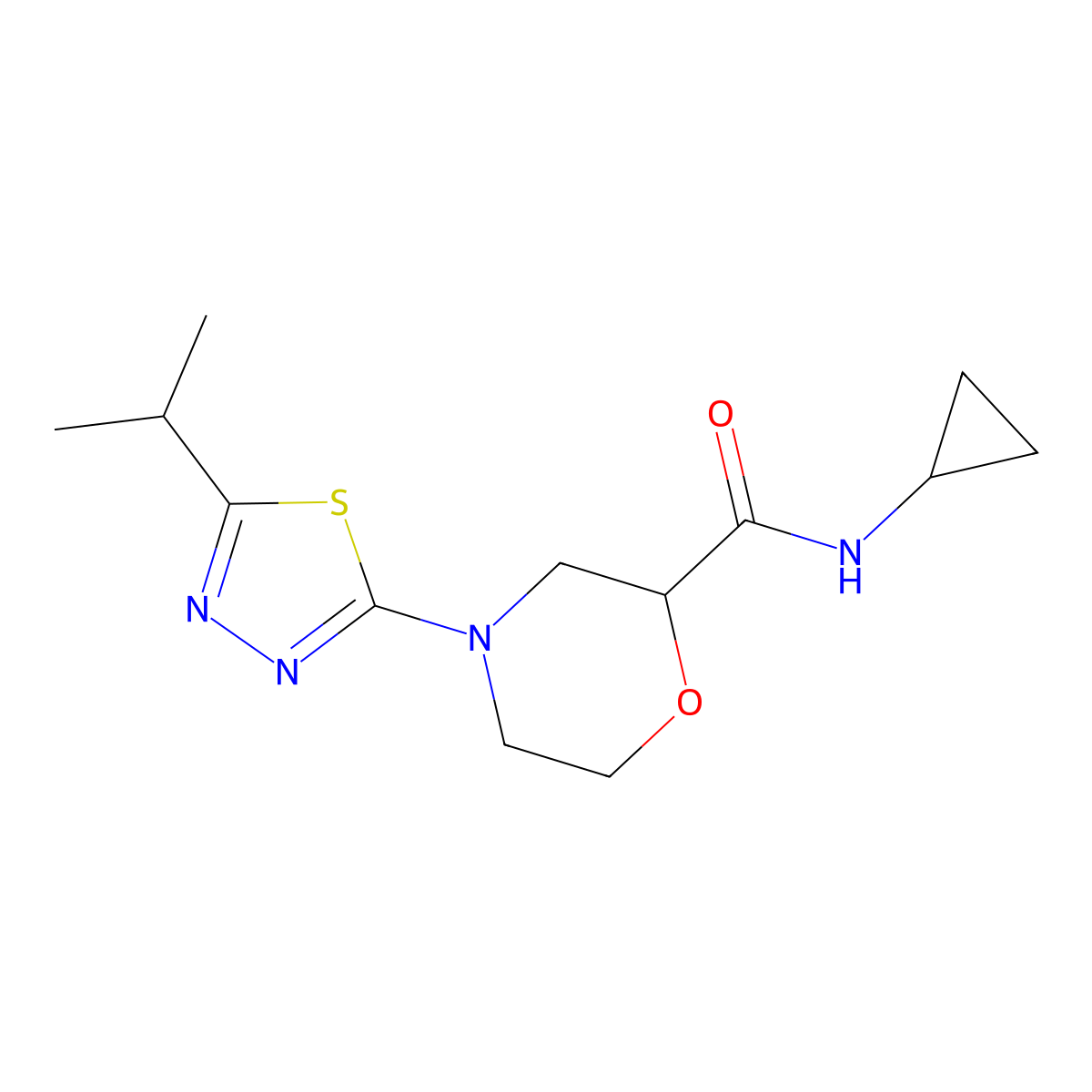 N-cyclopropyl-4-[5-(propan-2-yl)-1,3,4-thiadiazol-2-yl]morpholine-2-carboxamide molecular structure, CAS 2640843-46-3
