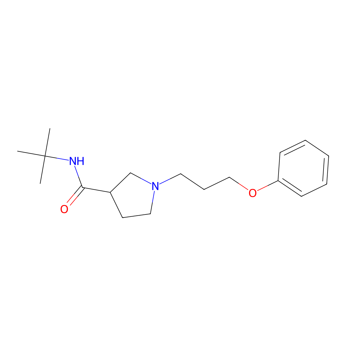 N-tert-butyl-1-(3-phenoxypropyl)pyrrolidine-3-carboxamide molecular structure, CAS 2640845-31-2