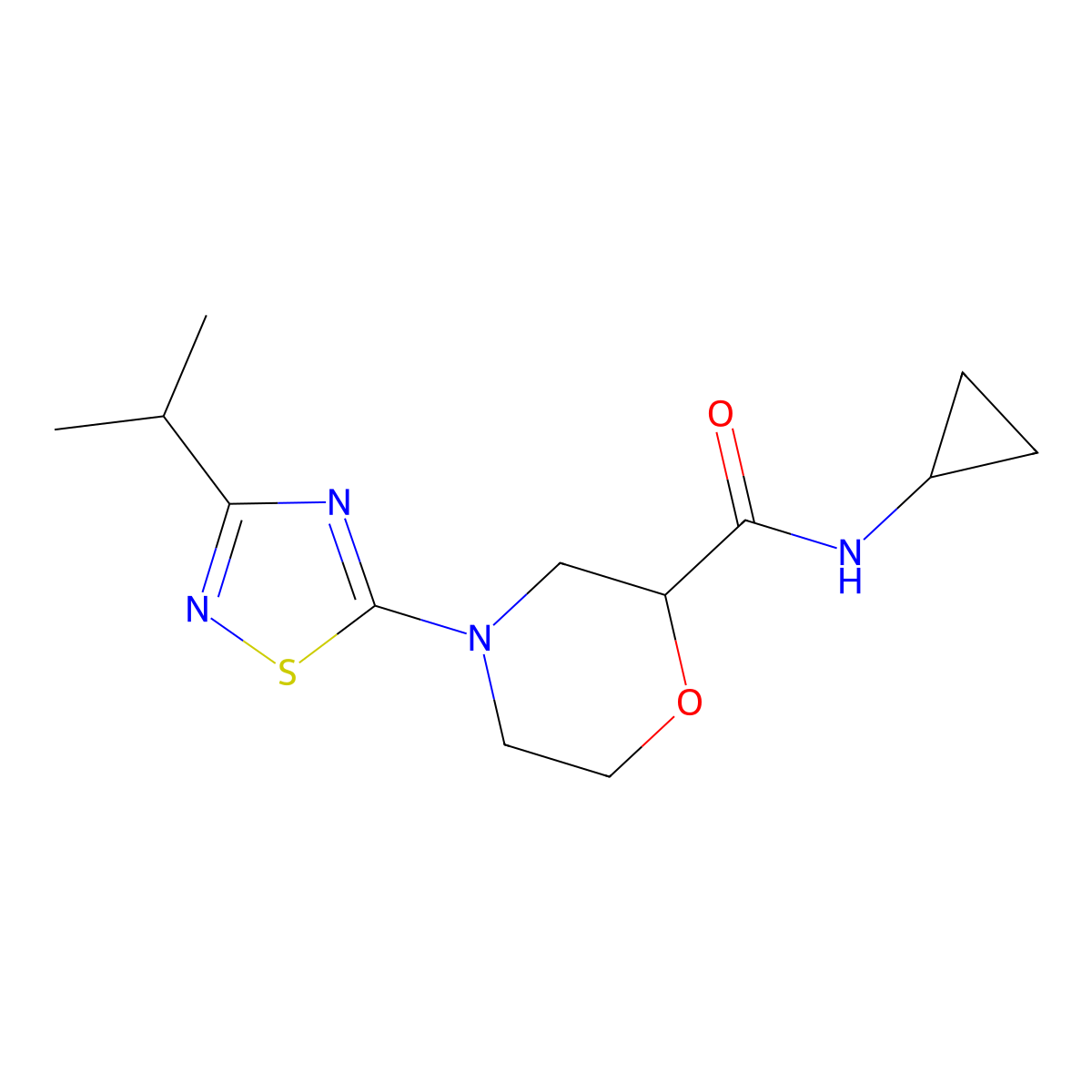 N-cyclopropyl-4-[3-(propan-2-yl)-1,2,4-thiadiazol-5-yl]morpholine-2-carboxamide molecular structure, CAS 2640846-62-2