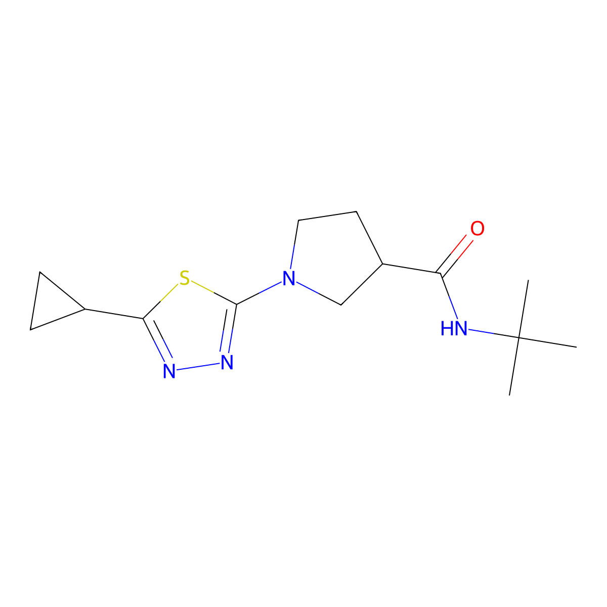 N-tert-butyl-1-(5-cyclopropyl-1,3,4-thiadiazol-2-yl)pyrrolidine-3-carboxamide molecular structure, CAS 2640861-09-0