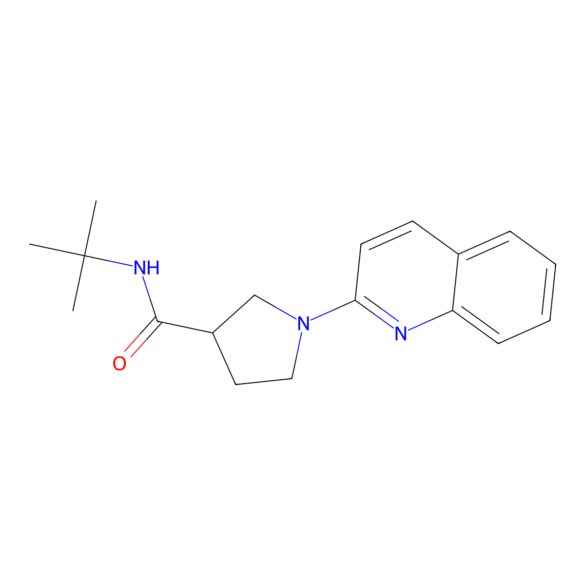 N-tert-butyl-1-(quinolin-2-yl)pyrrolidine-3-carboxamide molecular structure, CAS 2640861-10-3