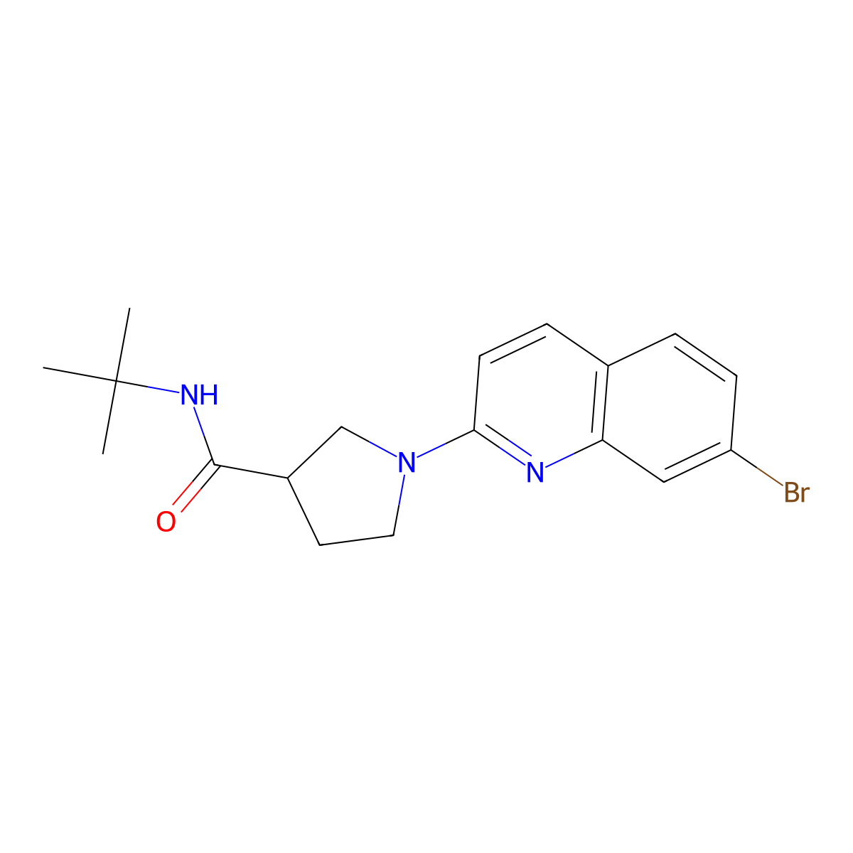 1-(7-bromoquinolin-2-yl)-N-tert-butylpyrrolidine-3-carboxamide molecular structure, CAS 2640874-04-8