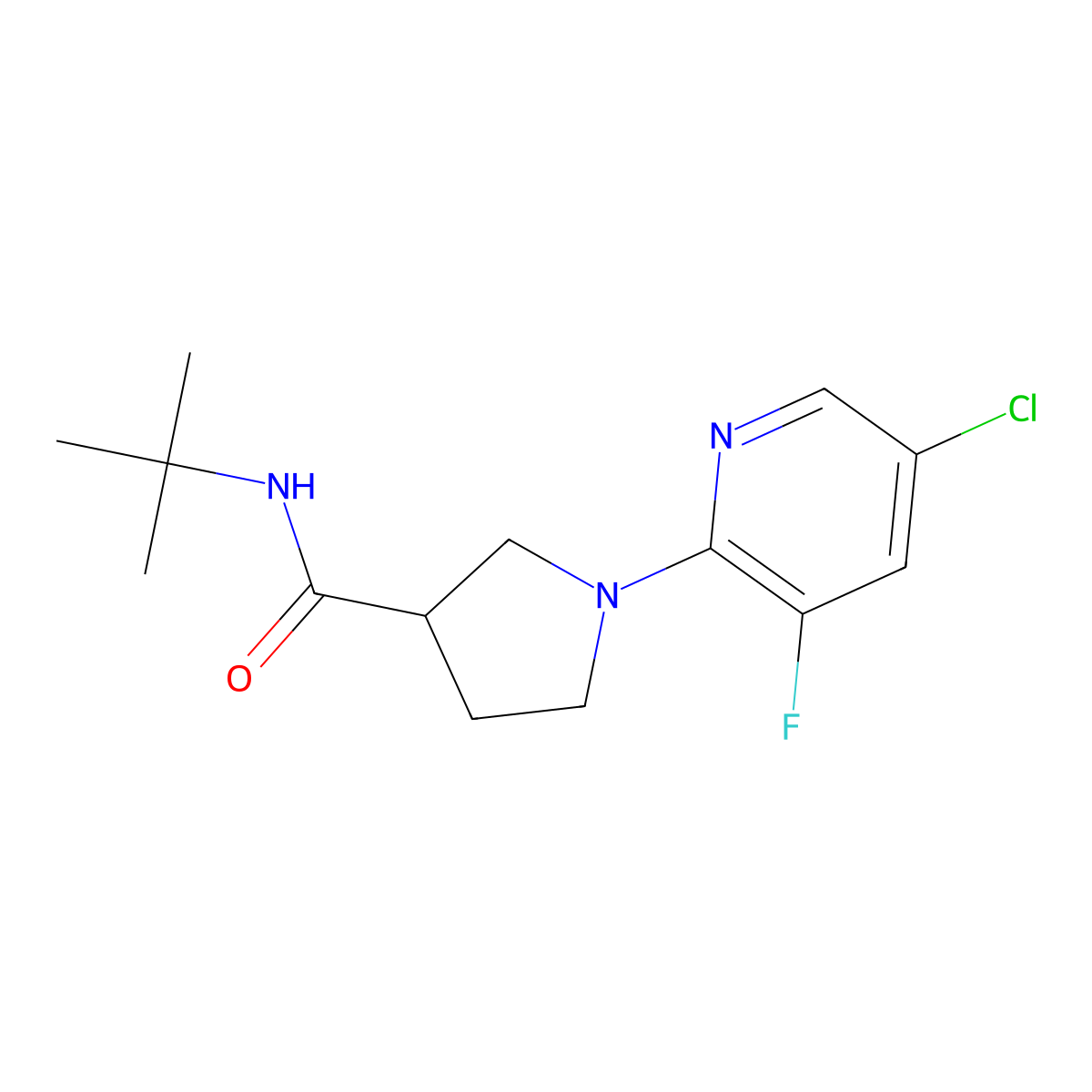 N-tert-butyl-1-(5-chloro-3-fluoropyridin-2-yl)pyrrolidine-3-carboxamide molecular structure, CAS 2640881-38-3