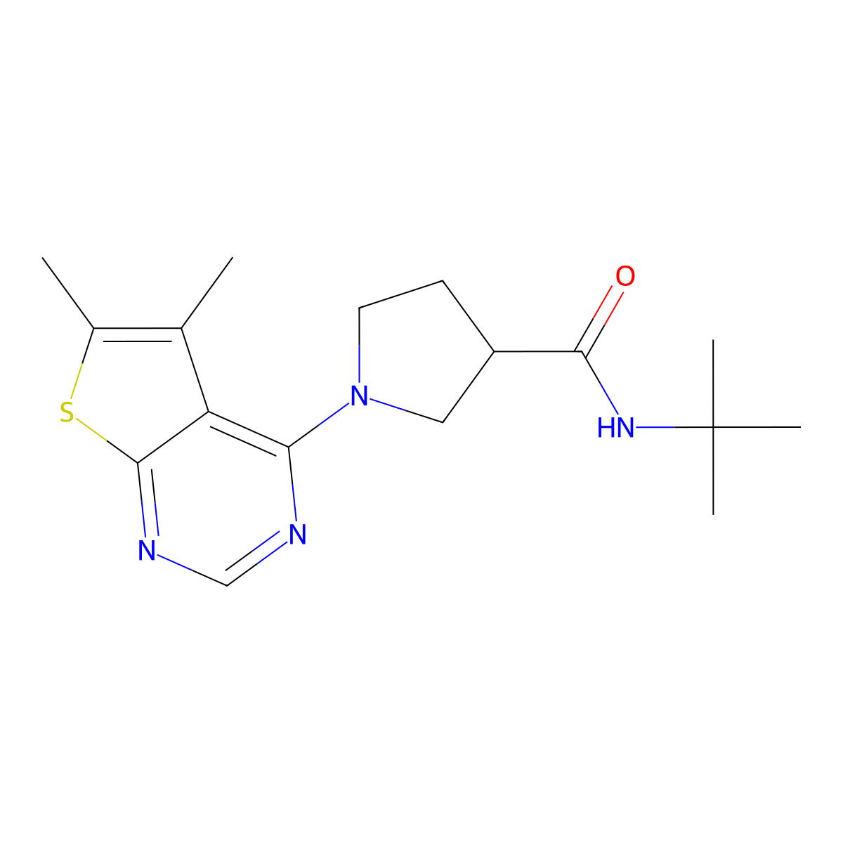 N-tert-butyl-1-{5,6-dimethylthieno[2,3-d]pyrimidin-4-yl}pyrrolidine-3-carboxamide molecular structure, CAS 2640881-43-0