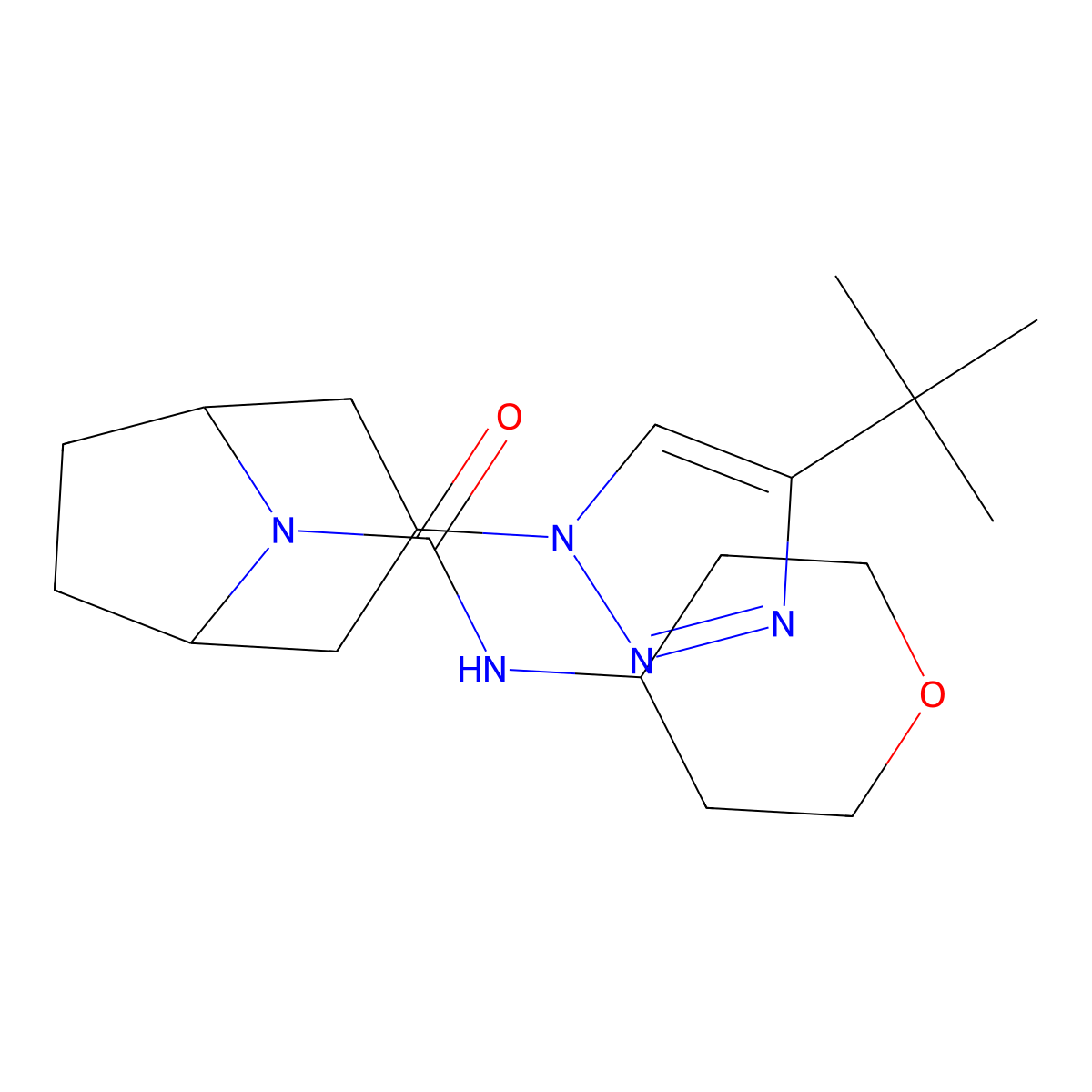3-(4-tert-butyl-1H-1,2,3-triazol-1-yl)-N-(oxan-4-yl)-8-azabicyclo[3.2.1]octane-8-carboxamide molecular structure, CAS 2640888-27-1