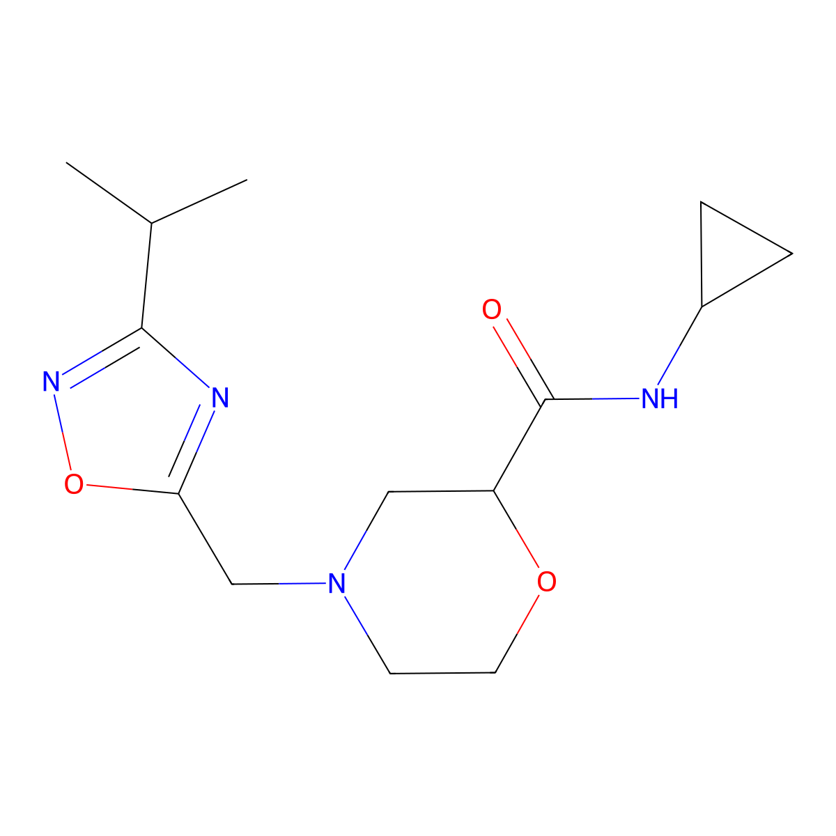 N-cyclopropyl-4-{[3-(propan-2-yl)-1,2,4-oxadiazol-5-yl]methyl}morpholine-2-carboxamide molecular structure, CAS 2640895-87-8