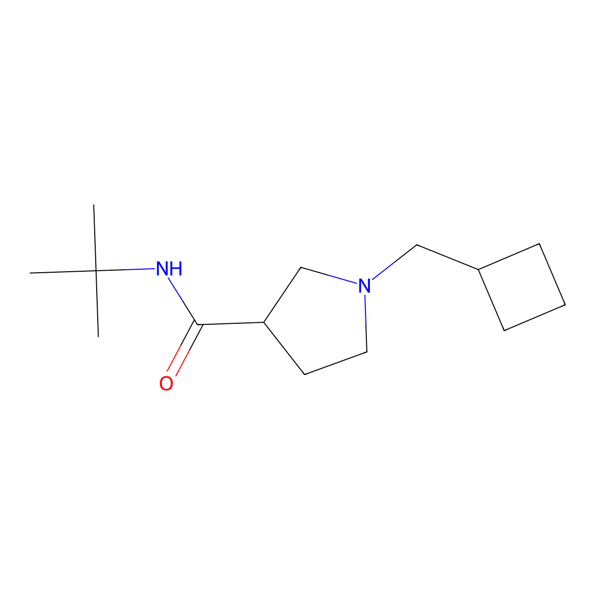 N-tert-butyl-1-(cyclobutylmethyl)pyrrolidine-3-carboxamide molecular structure, CAS 2640896-03-1