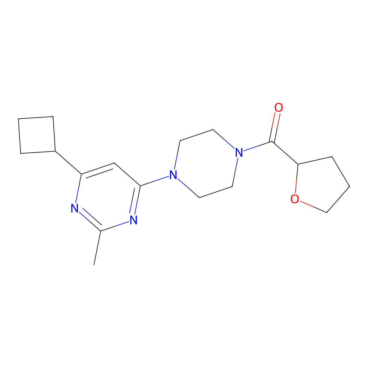 4-Cyclobutyl-2-methyl-6-[4-(oxolane-2-carbonyl)piperazin-1-yl]pyrimidine molecular structure, CAS 2640946-12-7