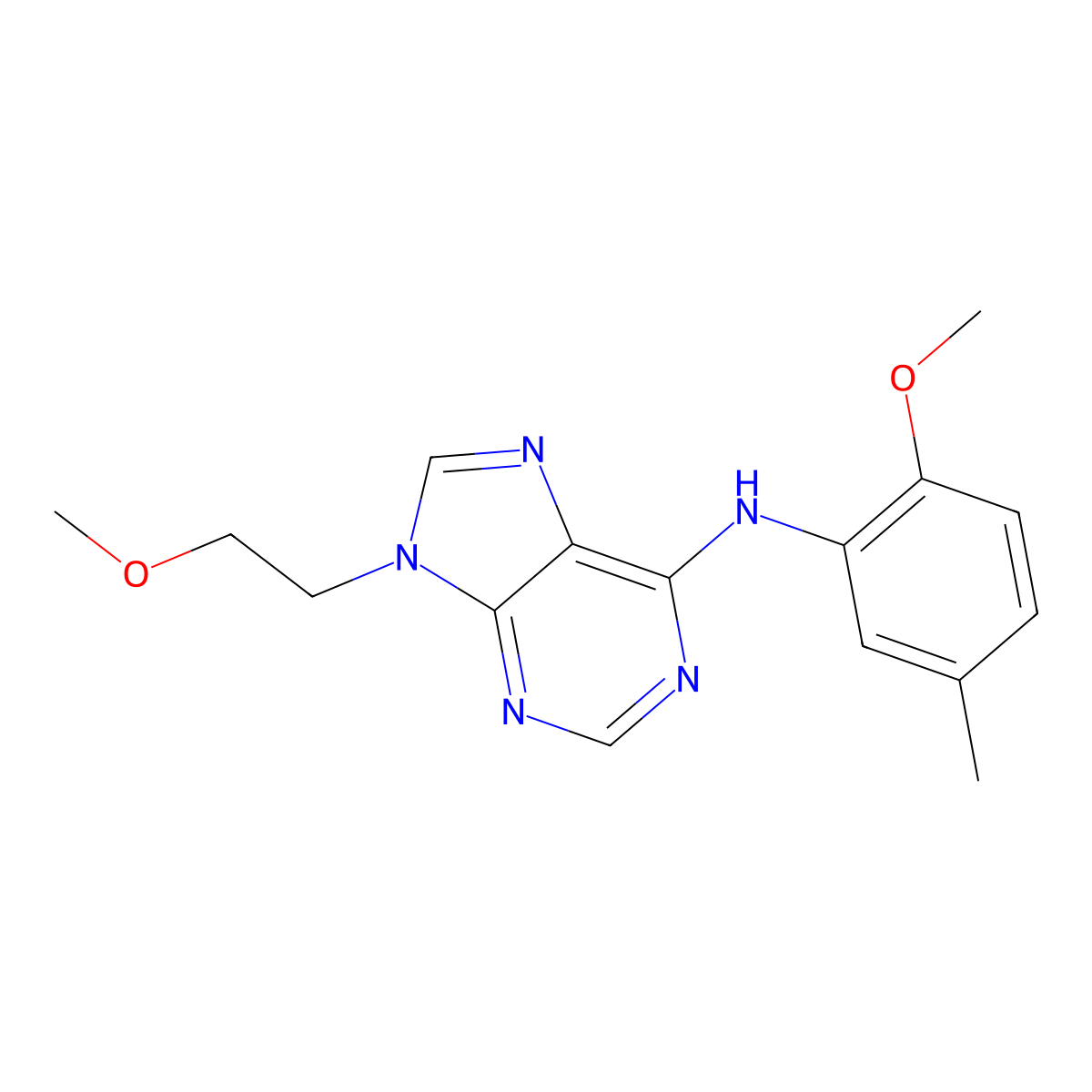 N-(2-methoxy-5-methylphenyl)-9-(2-methoxyethyl)-9H-purin-6-amine molecular structure, CAS 2640951-74-0