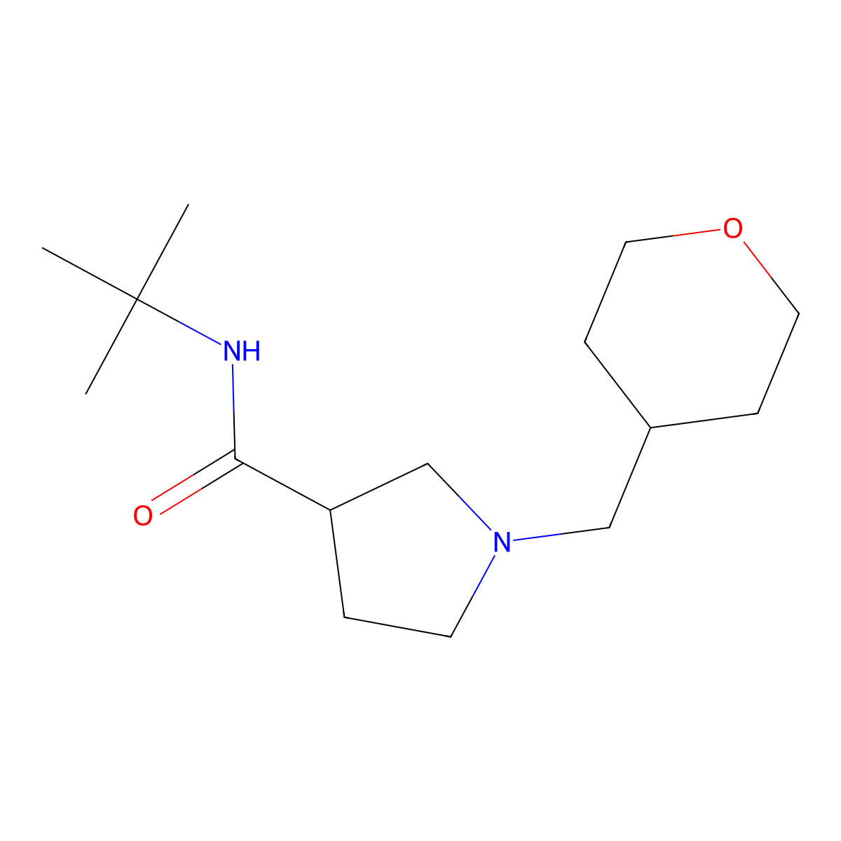 N-tert-butyl-1-[(oxan-4-yl)methyl]pyrrolidine-3-carboxamide molecular structure, CAS 2640955-69-5
