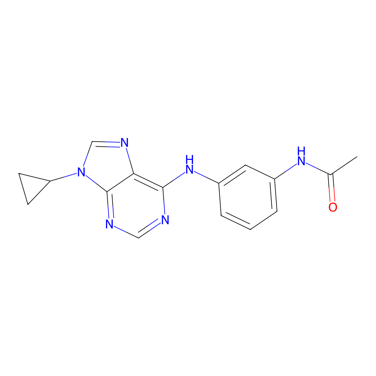 N-{3-[(9-cyclopropyl-9H-purin-6-yl)amino]phenyl}acetamide molecular structure, CAS 2640960-59-2
