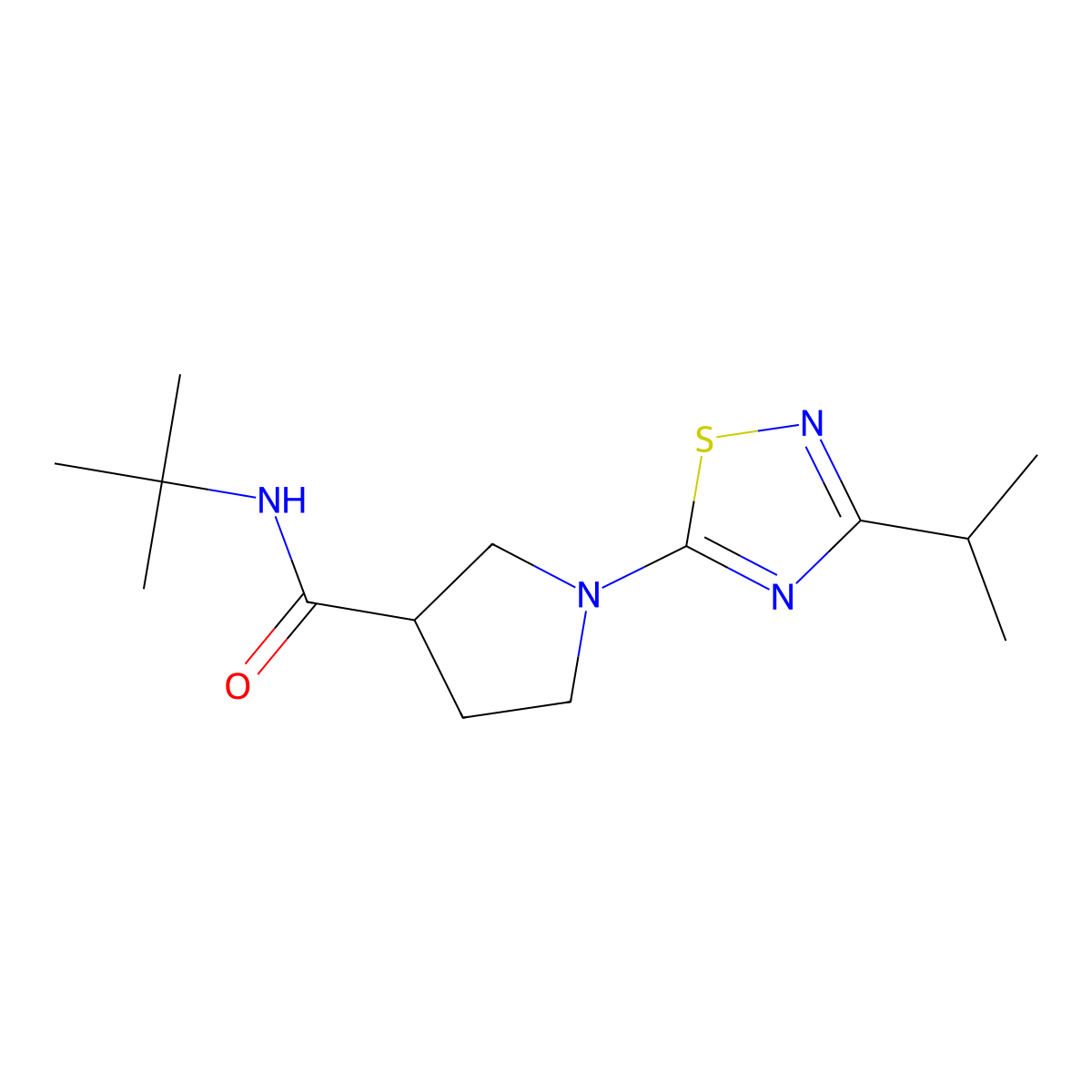 N-tert-butyl-1-[3-(propan-2-yl)-1,2,4-thiadiazol-5-yl]pyrrolidine-3-carboxamide molecular structure, CAS 2640960-77-4