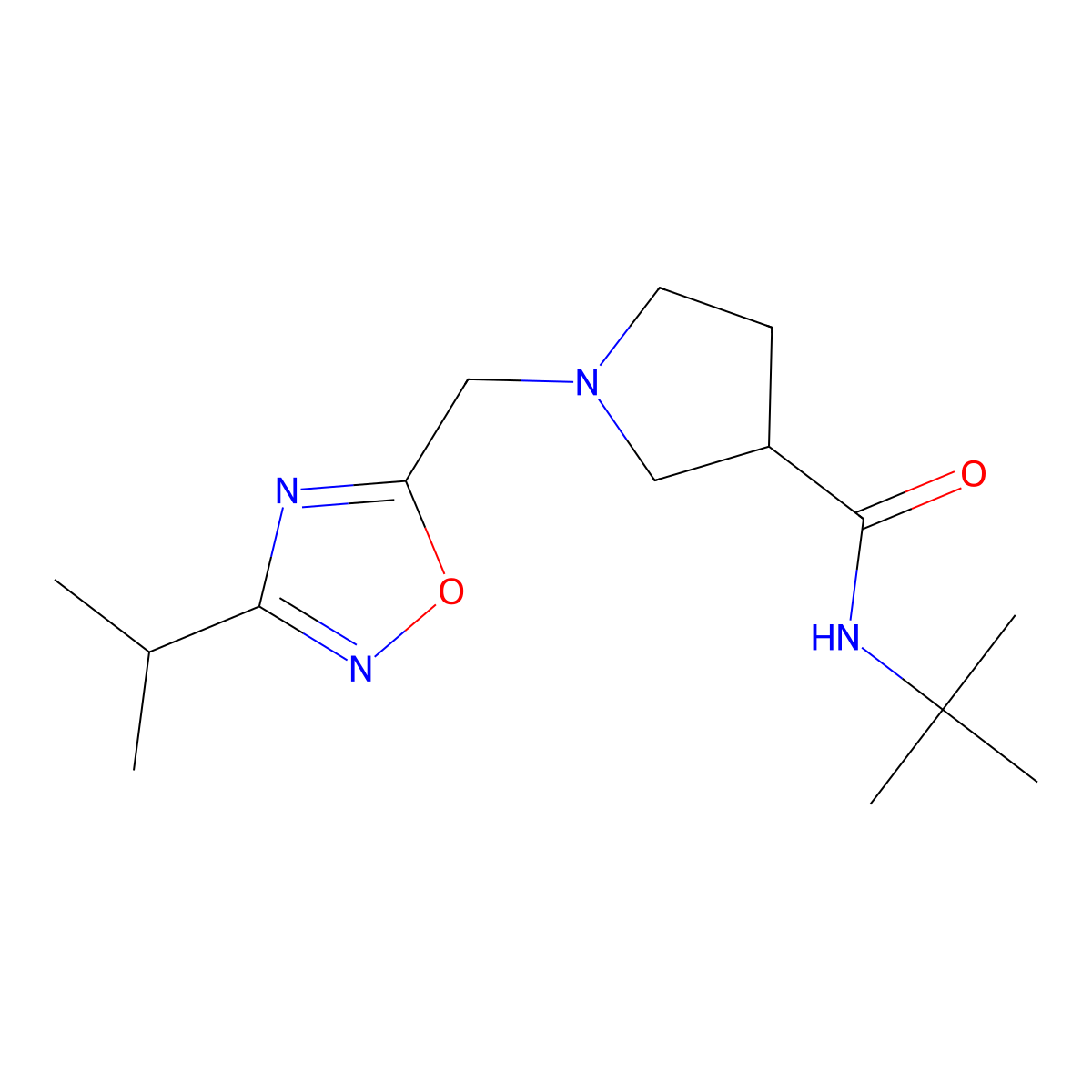 N-tert-butyl-1-{[3-(propan-2-yl)-1,2,4-oxadiazol-5-yl]methyl}pyrrolidine-3-carboxamide molecular structure, CAS 2640961-72-2