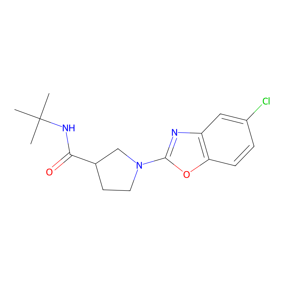 N-tert-butyl-1-(5-chloro-1,3-benzoxazol-2-yl)pyrrolidine-3-carboxamide molecular structure, CAS 2640962-71-4