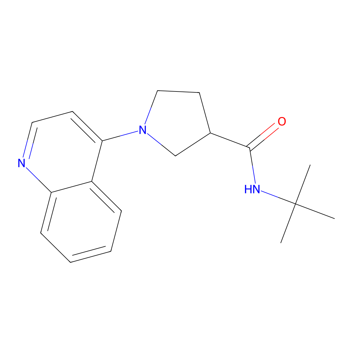 N-tert-butyl-1-(quinolin-4-yl)pyrrolidine-3-carboxamide molecular structure, CAS 2640962-80-5