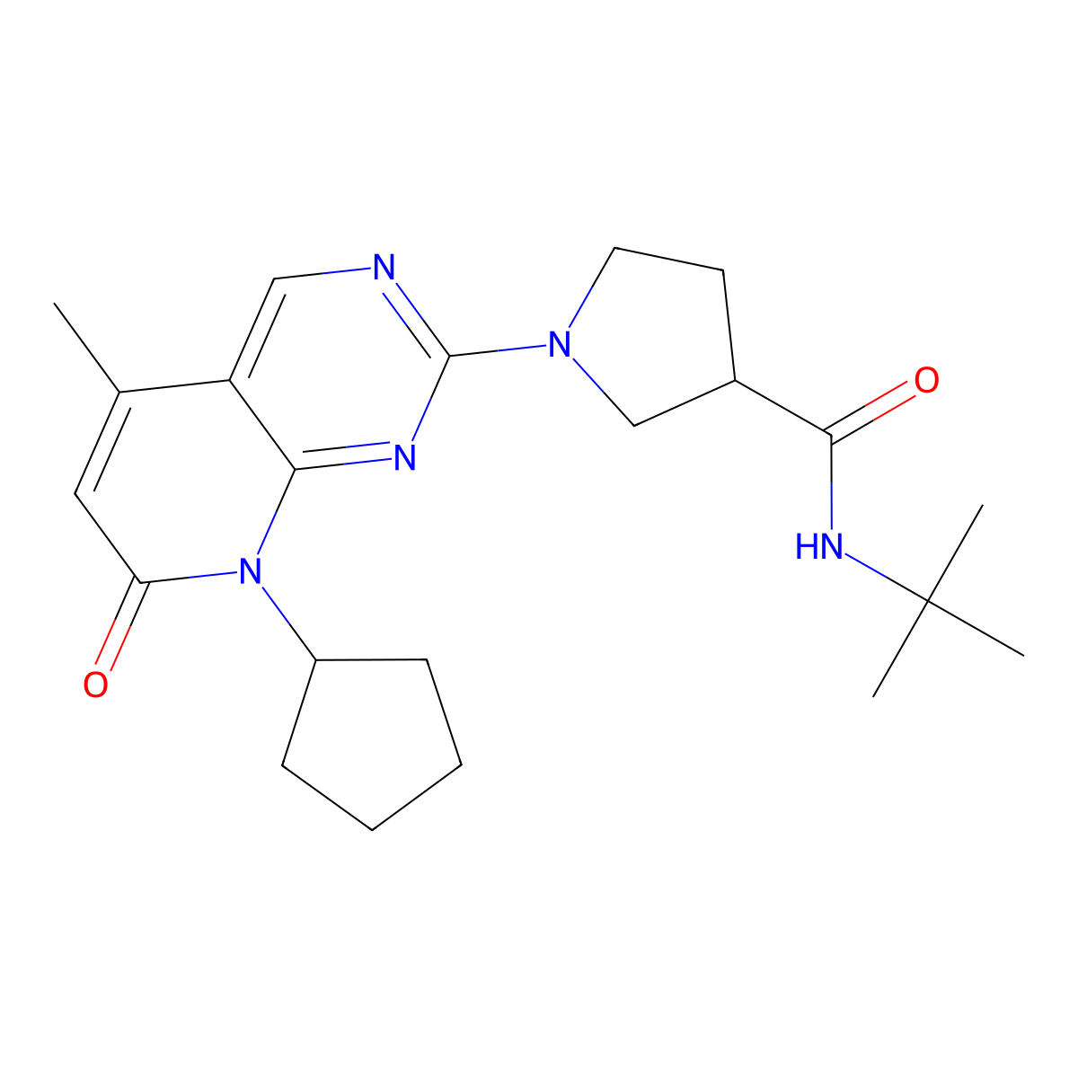 N-tert-butyl-1-{8-cyclopentyl-5-methyl-7-oxo-7H,8H-pyrido[2,3-d]pyrimidin-2-yl}pyrrolidine-3-carboxamide molecular structure, CAS 2640966-07-8