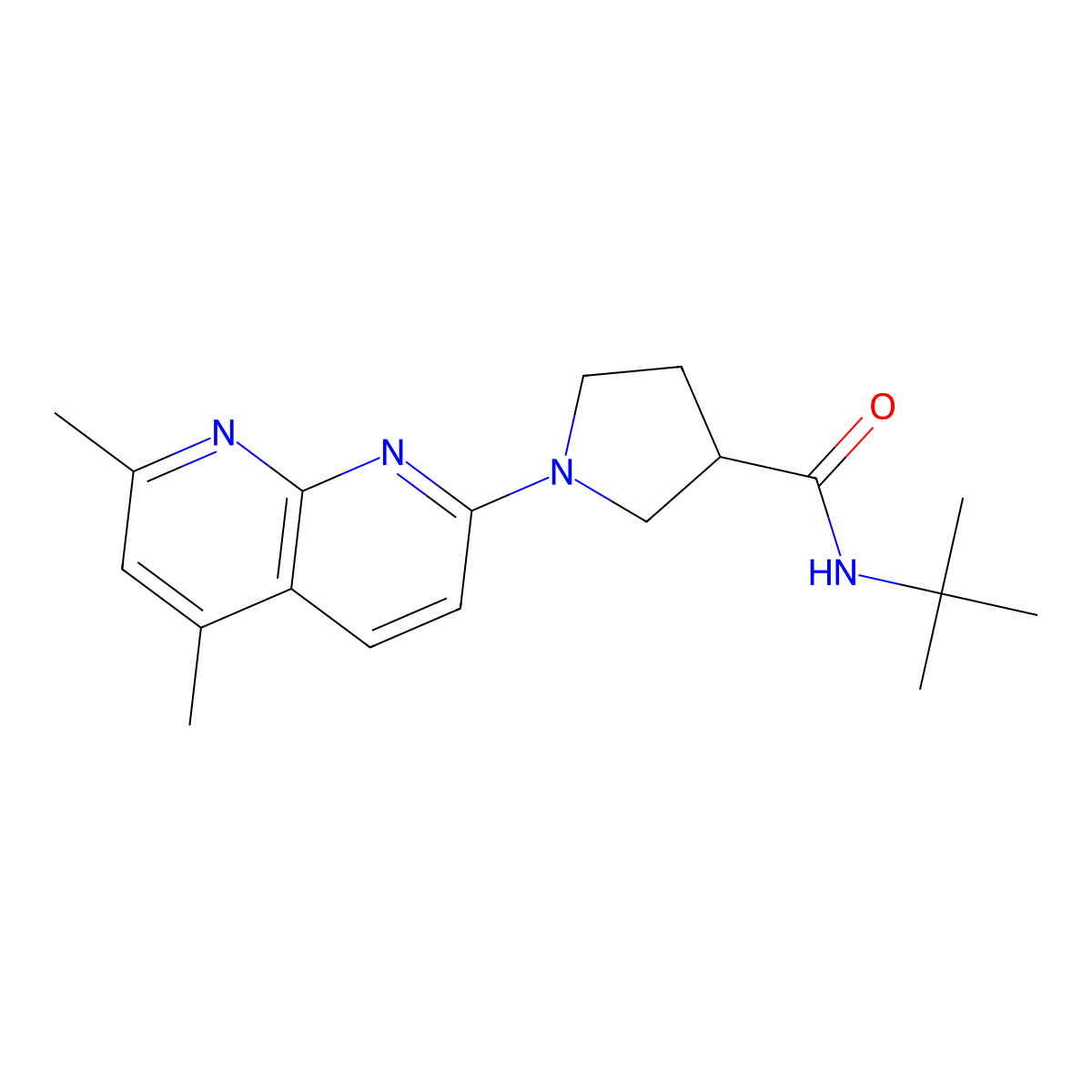 N-tert-butyl-1-(5,7-dimethyl-1,8-naphthyridin-2-yl)pyrrolidine-3-carboxamide molecular structure, CAS 2640969-14-6