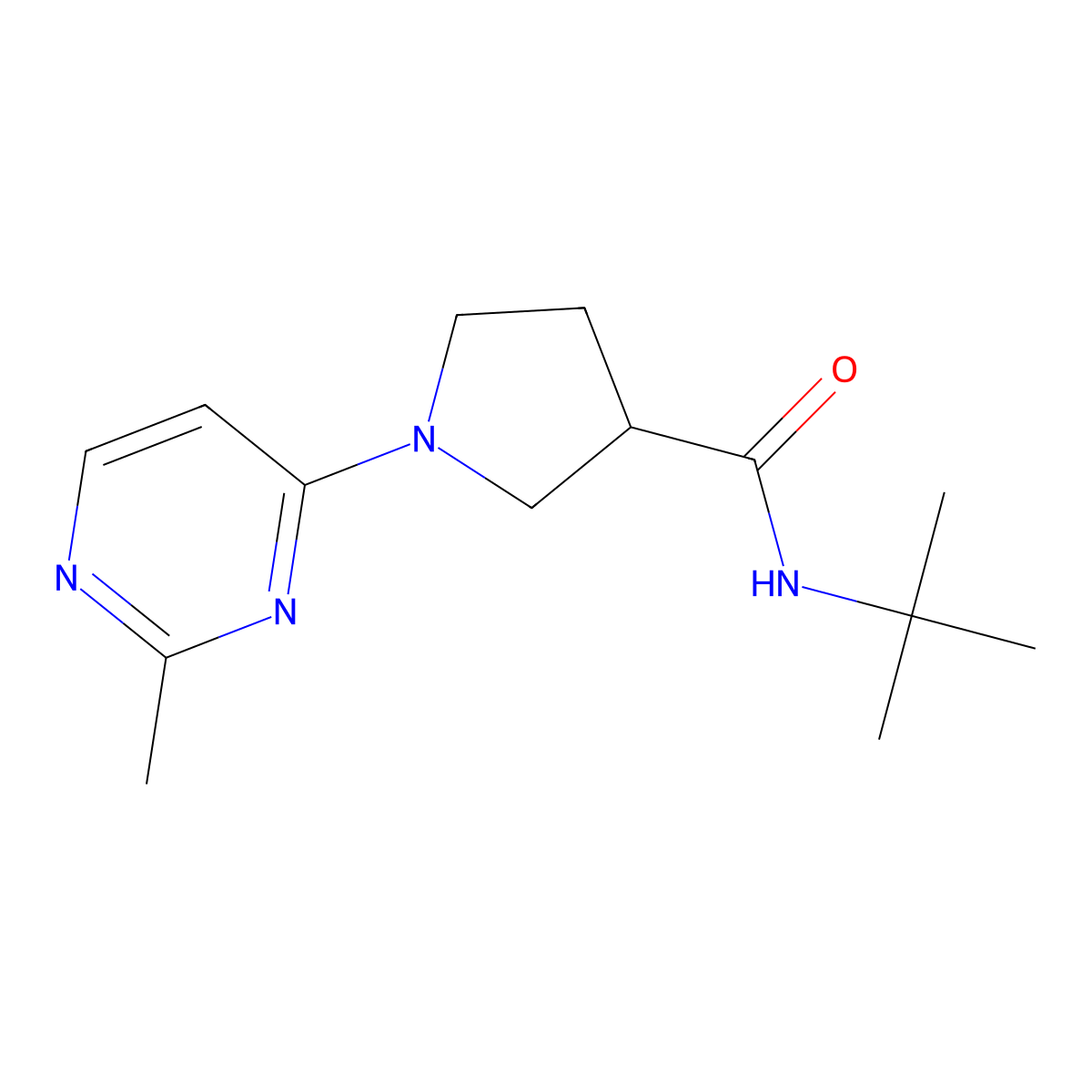 N-tert-butyl-1-(2-methylpyrimidin-4-yl)pyrrolidine-3-carboxamide molecular structure, CAS 2640970-95-0