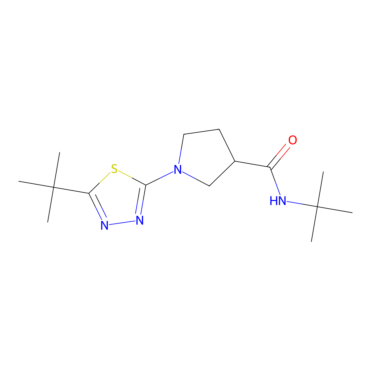 N-tert-butyl-1-(5-tert-butyl-1,3,4-thiadiazol-2-yl)pyrrolidine-3-carboxamide molecular structure, CAS 2640975-02-4
