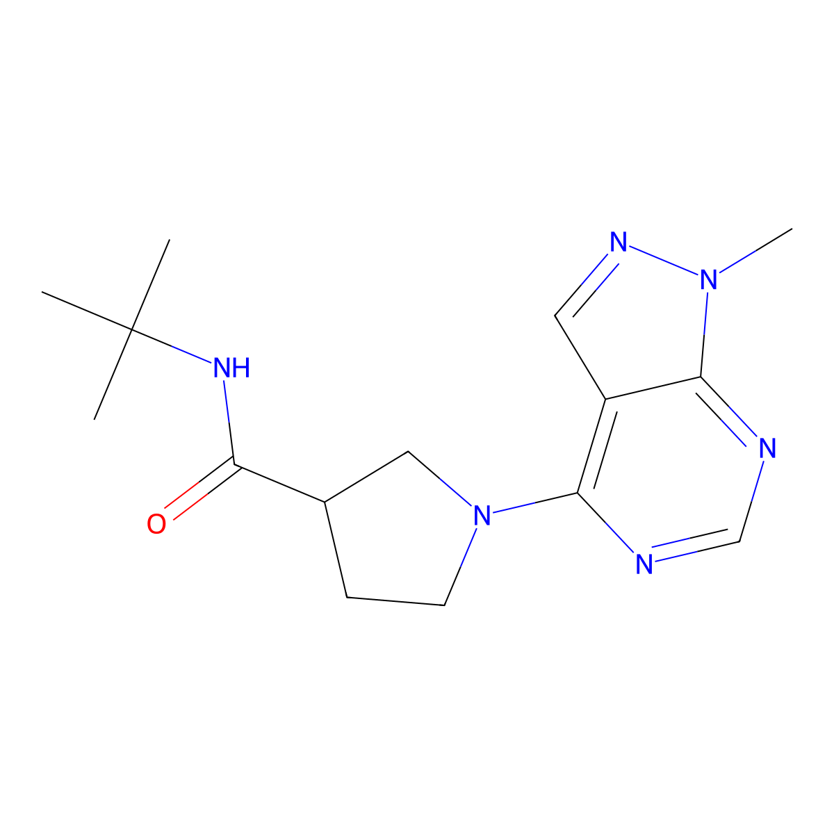 N-tert-butyl-1-{1-methyl-1H-pyrazolo[3,4-d]pyrimidin-4-yl}pyrrolidine-3-carboxamide molecular structure, CAS 2640978-97-6