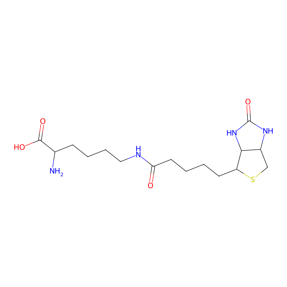 2-Amino-6-[5-(2-oxo-1,3,3a,4,6,6a-hexahydrothieno[3,4-d]imidazol-4-yl)pentanoylamino]hexanoic acid molecular structure, CAS 26434-61-7