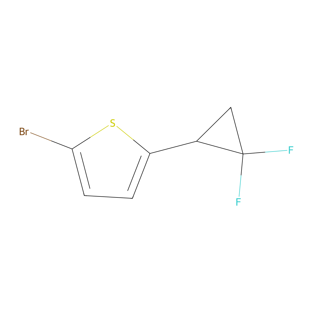2-Bromo-5-(2,2-difluorocyclopropyl)thiophene molecular structure, CAS 2645413-36-9