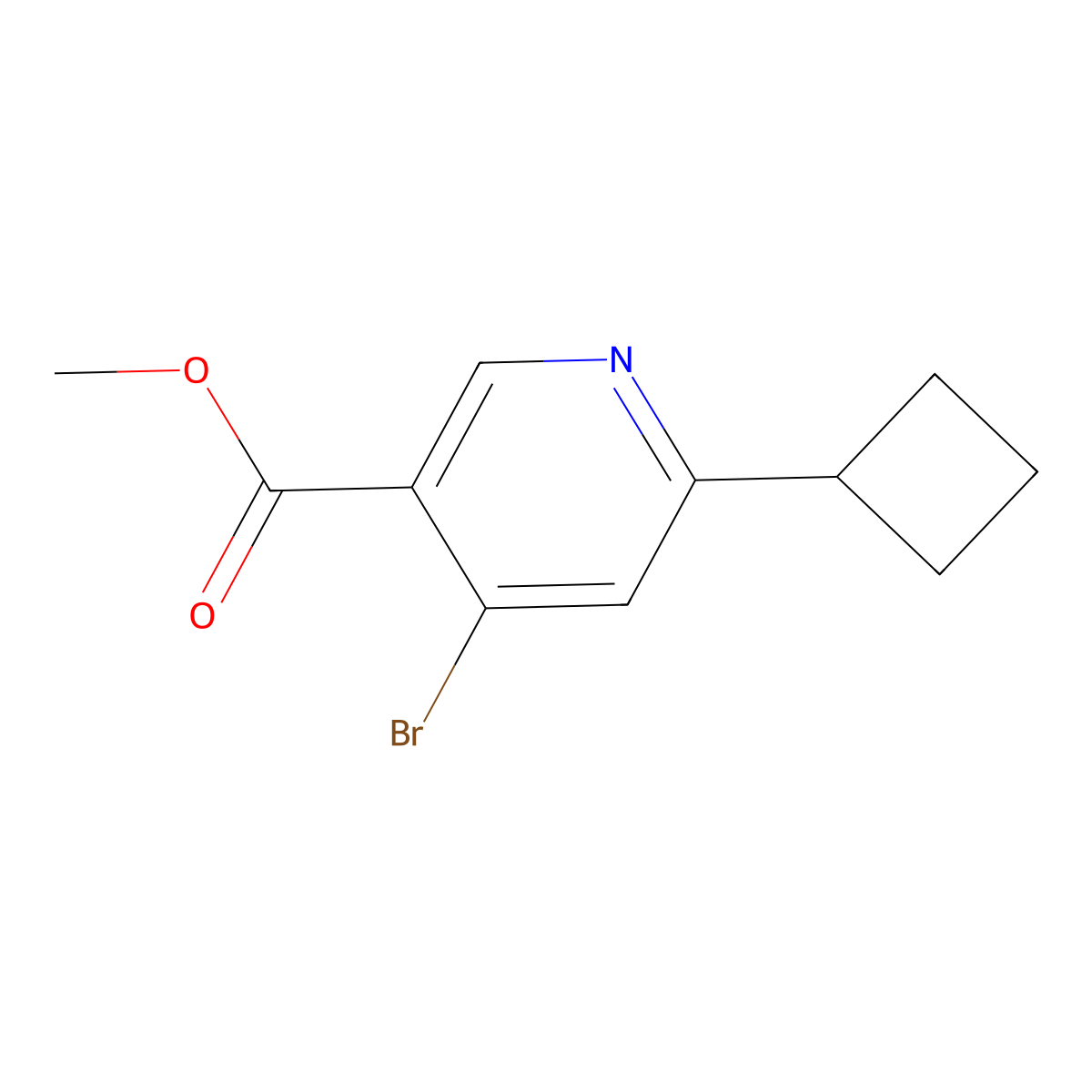 Methyl 4-bromo-6-cyclobutylnicotinate molecular structure, CAS 2645419-06-1