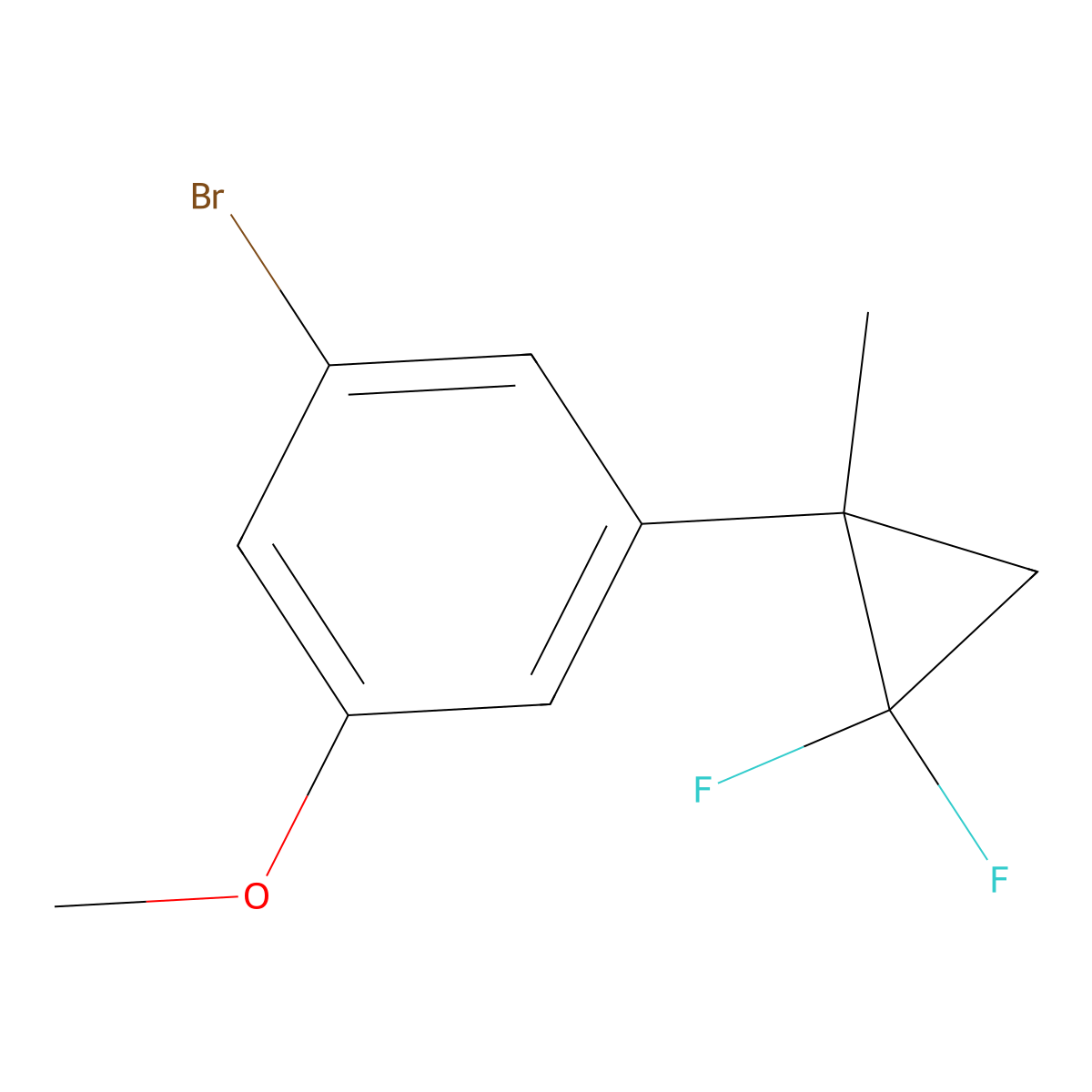 1-Bromo-3-(2,2-difluoro-1-methylcyclopropyl)-5-methoxybenzene molecular structure, CAS 2645419-11-8