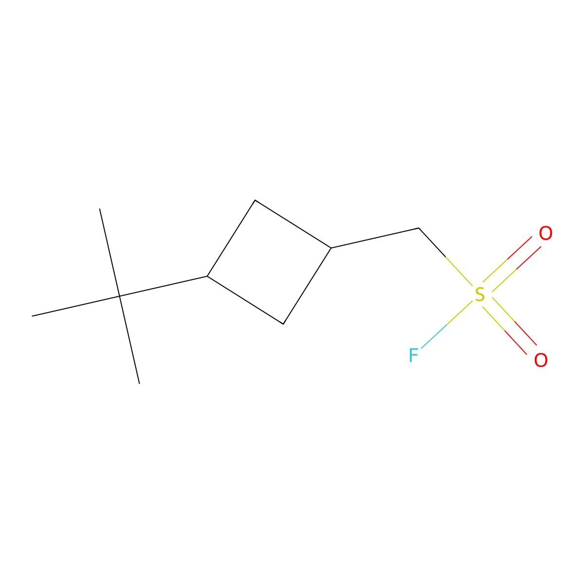 (3-Tert-butylcyclobutyl)methanesulfonyl fluoride molecular structure, CAS 2648944-84-5