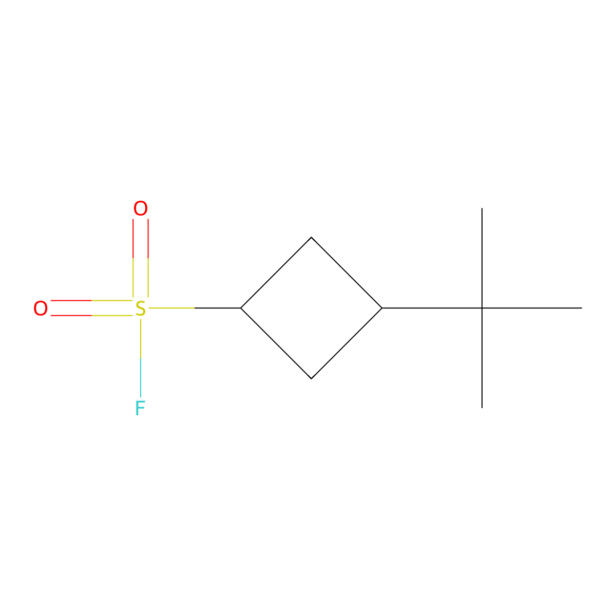 3-Tert-butylcyclobutane-1-sulfonyl fluoride molecular structure, CAS 2648944-93-6