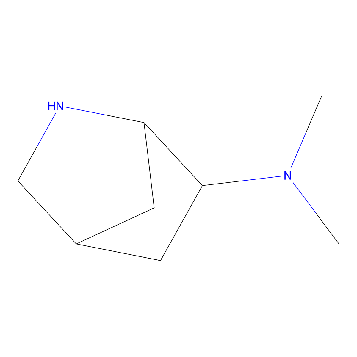 N,N-dimethyl-2-azabicyclo[2.2.1]heptan-6-amine molecular structure, CAS 2648948-06-3